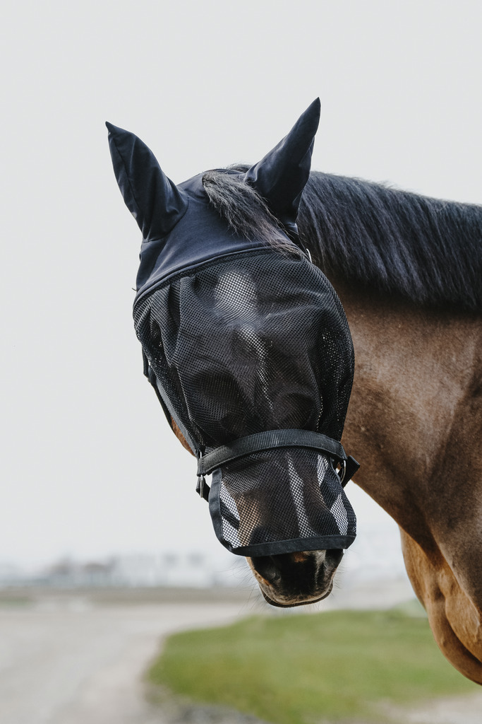 EQUITHEME Halter + Fly Mask Black - 3
