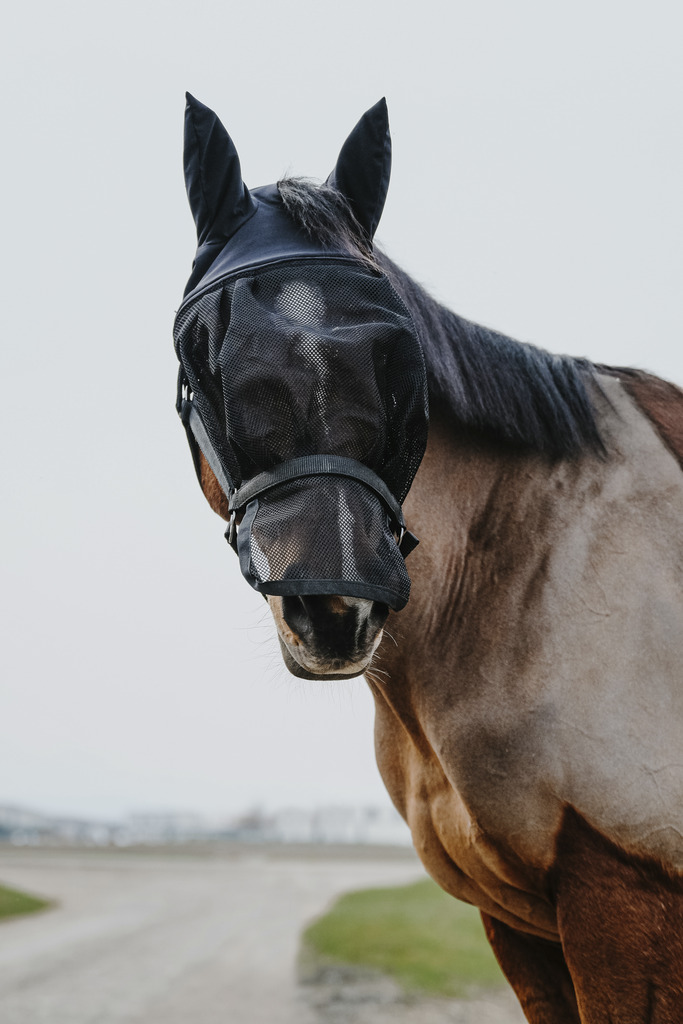 EQUITHEME Halter + Fly Mask Black - 5