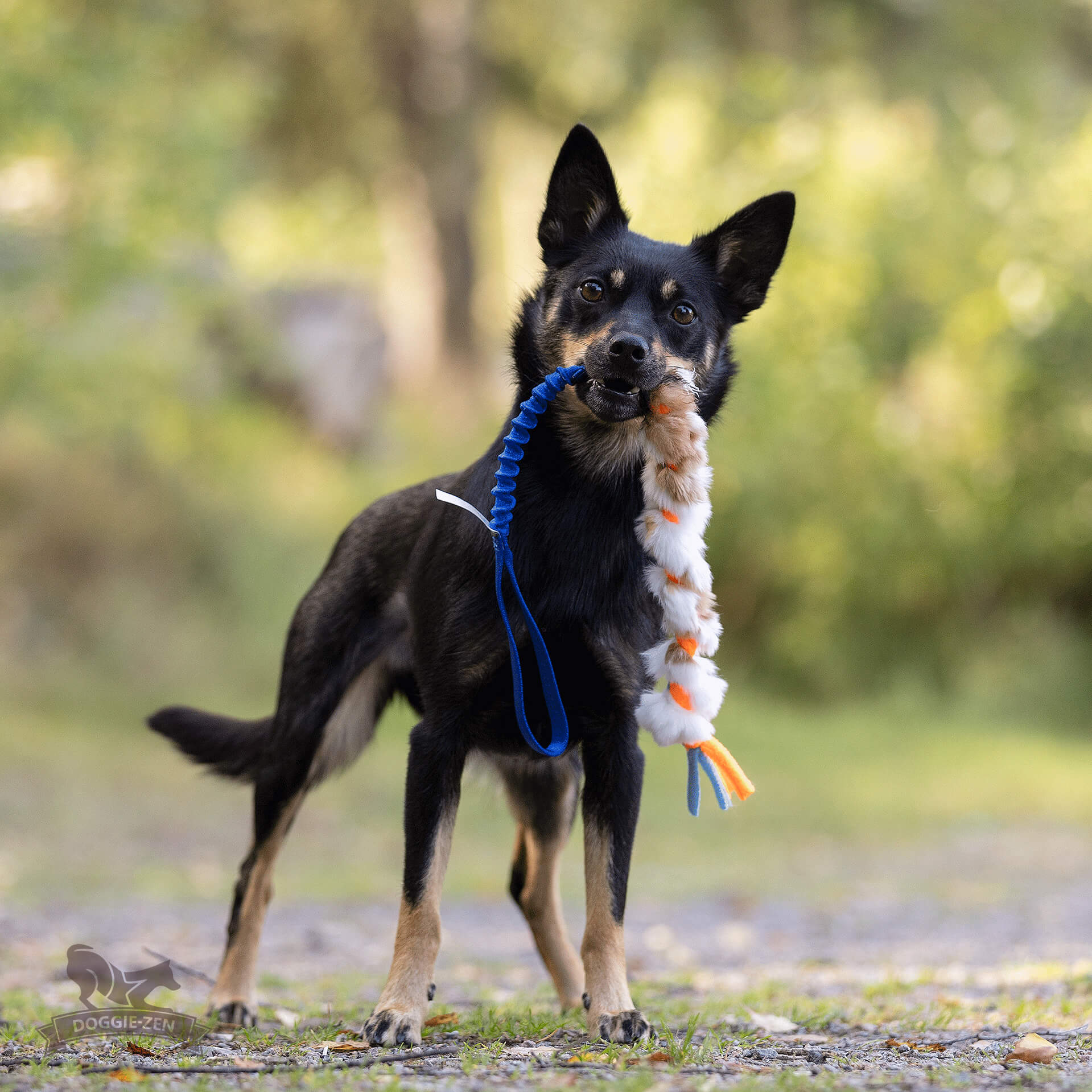 Doggie-Zen Elastisches Fleece- und Kaninchen-Geflecht Hundespielzeug S - Blau