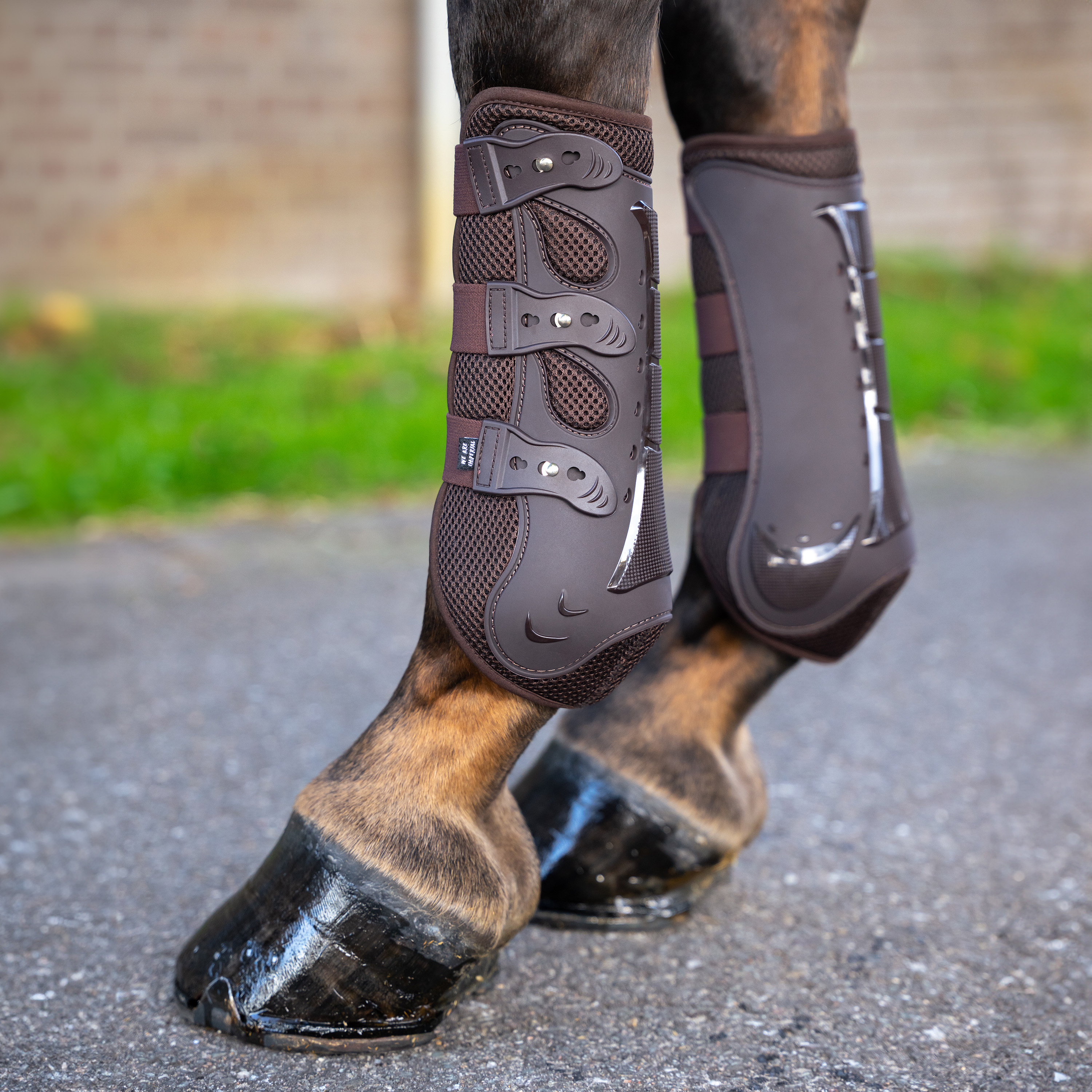 Imperial Riding Kouluratsastussuojat Pro mesh - Suklaa BE10124002 - 2