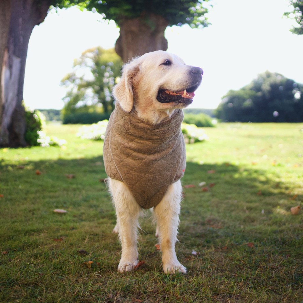 Siccaro Supreme Pro 2.0 - Elmwood (40)