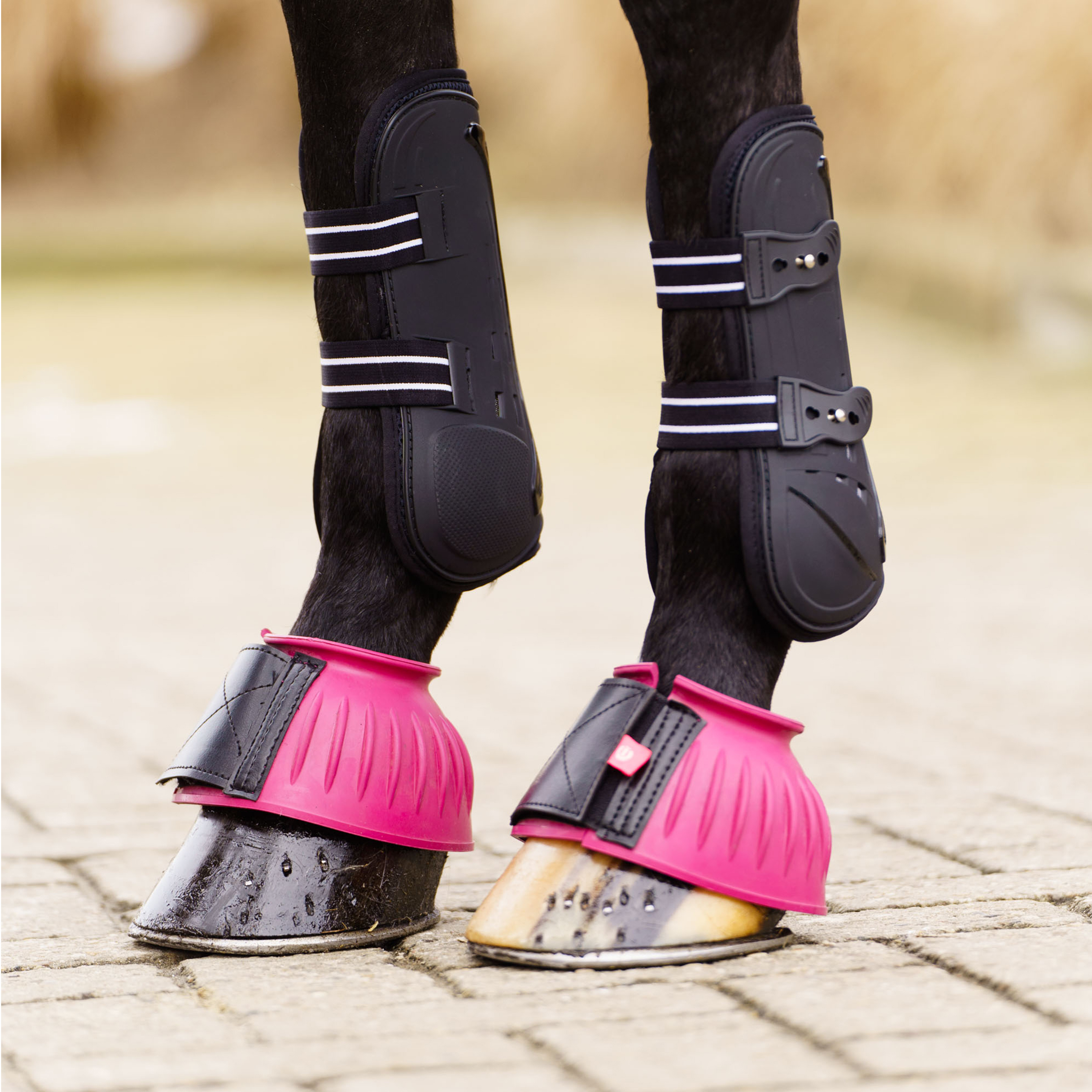 Imperial Riding Bellboots Bells - Pink - 2