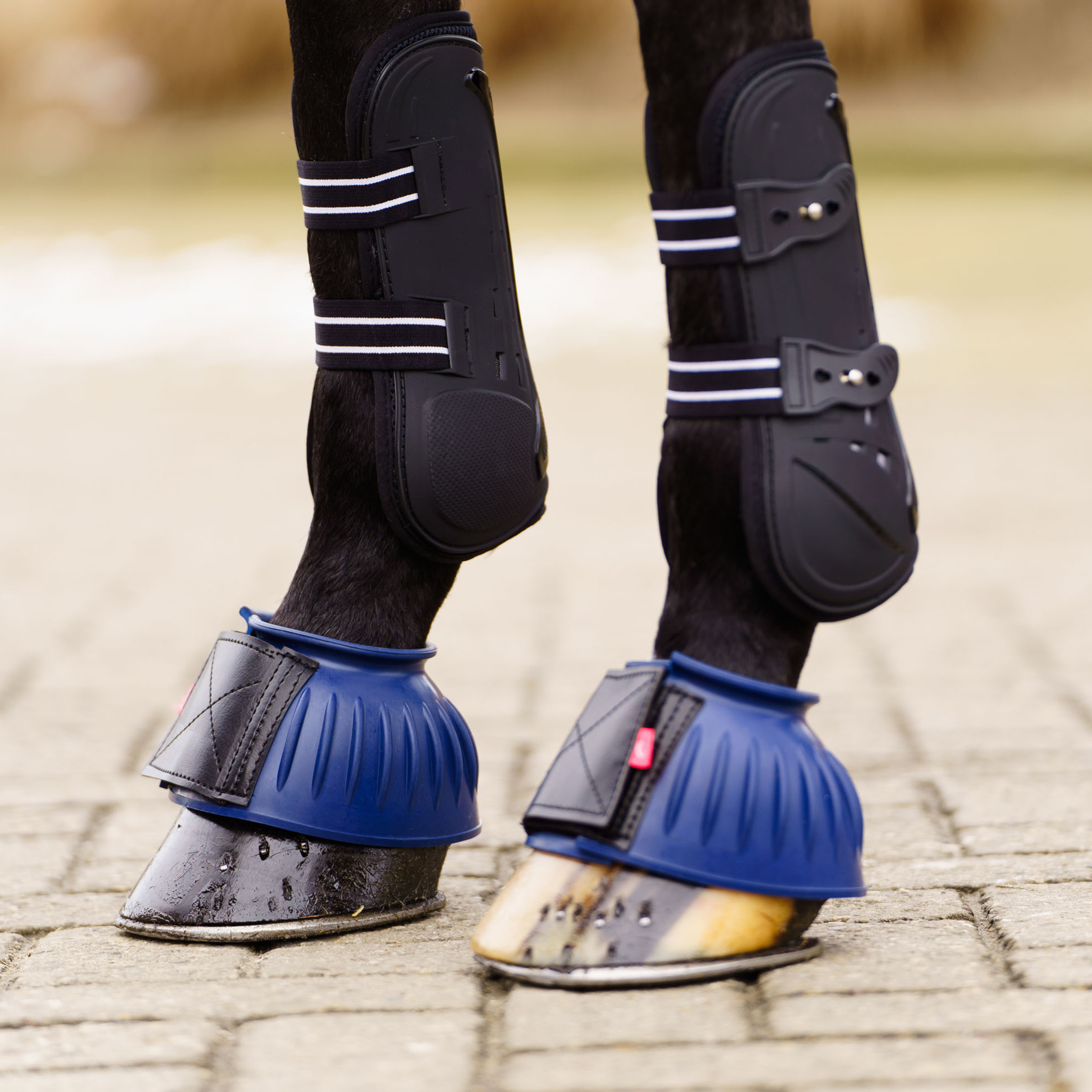 Imperial Riding Bellboots Bells - Royal Blue - 2