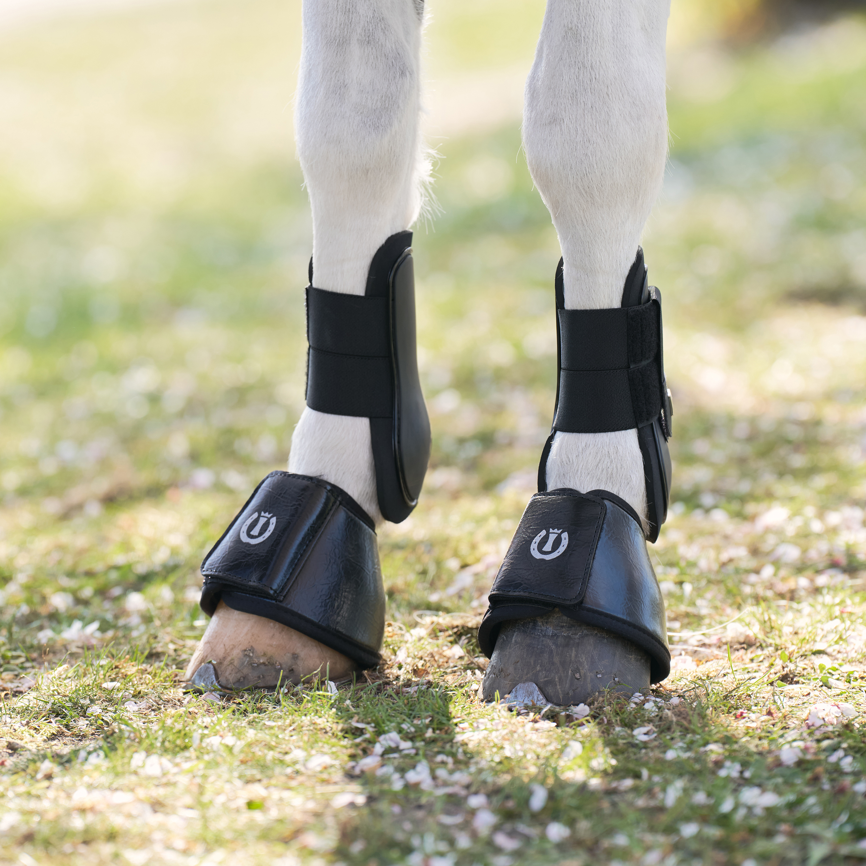Imperial Riding Boots Rebel - Svart - 3