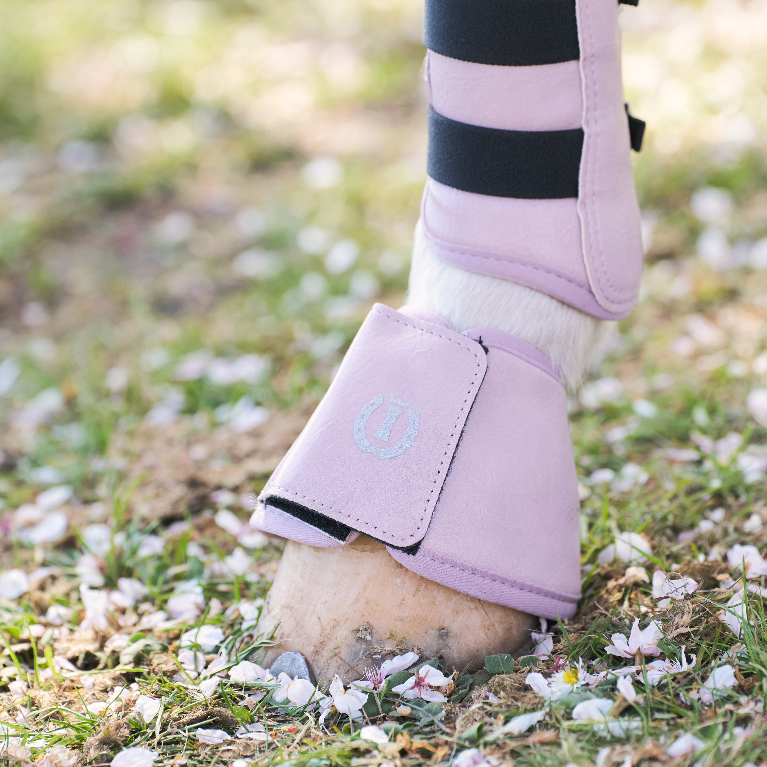 Imperial Riding Bellboots Rebel - Ballerina - 3