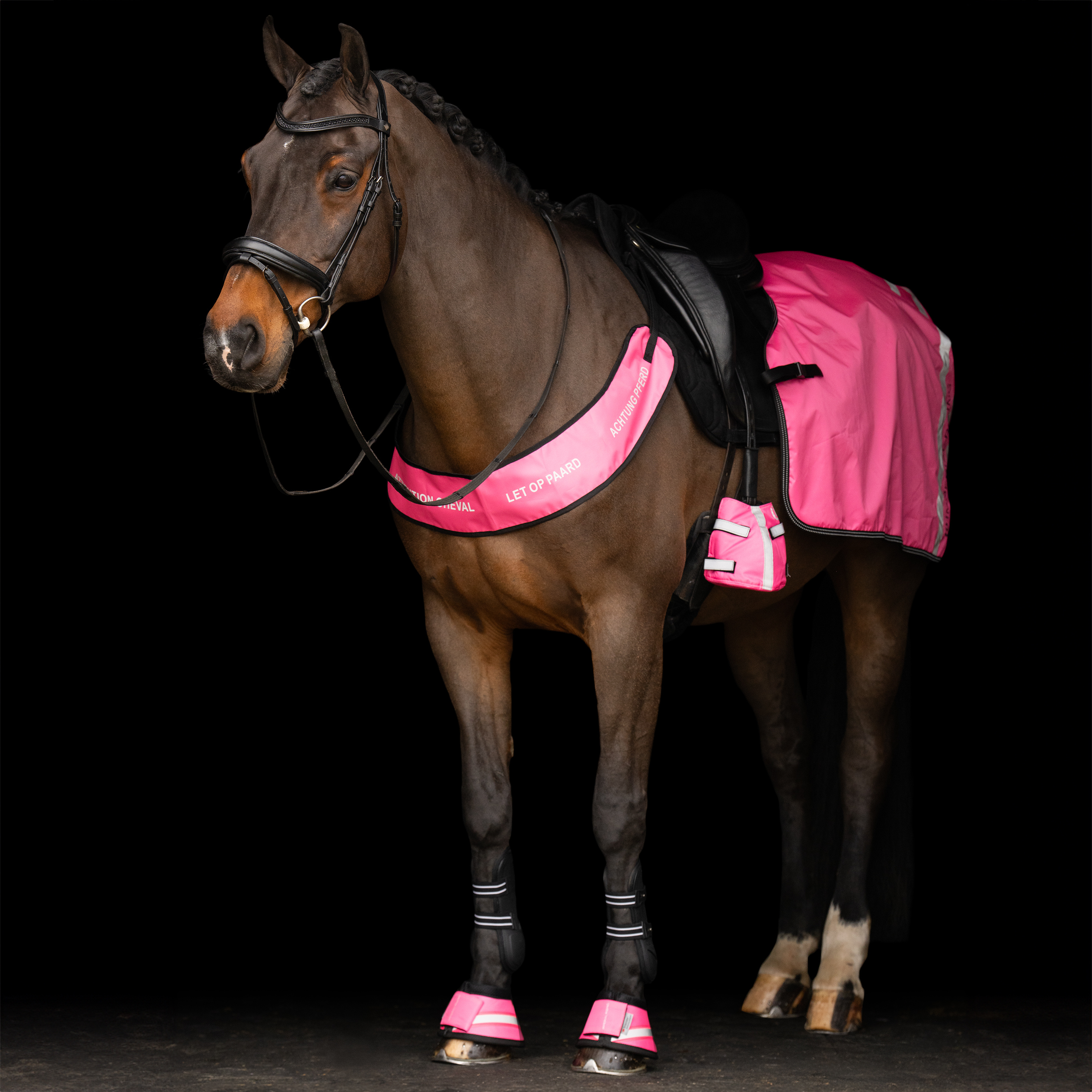 Imperial Riding Boots Reflective - Rosa - 3