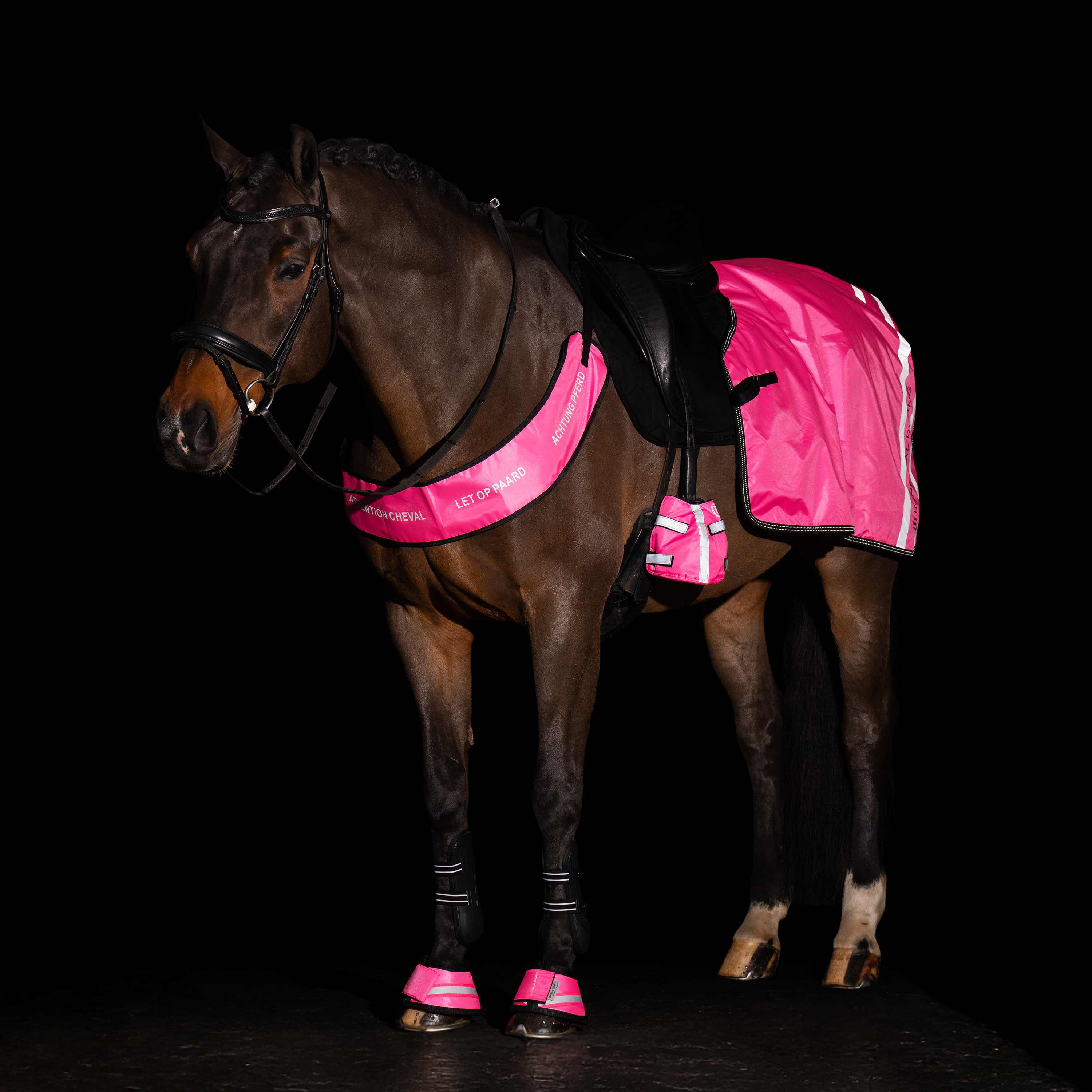 Imperial Riding Boots Reflective - Rosa - 4