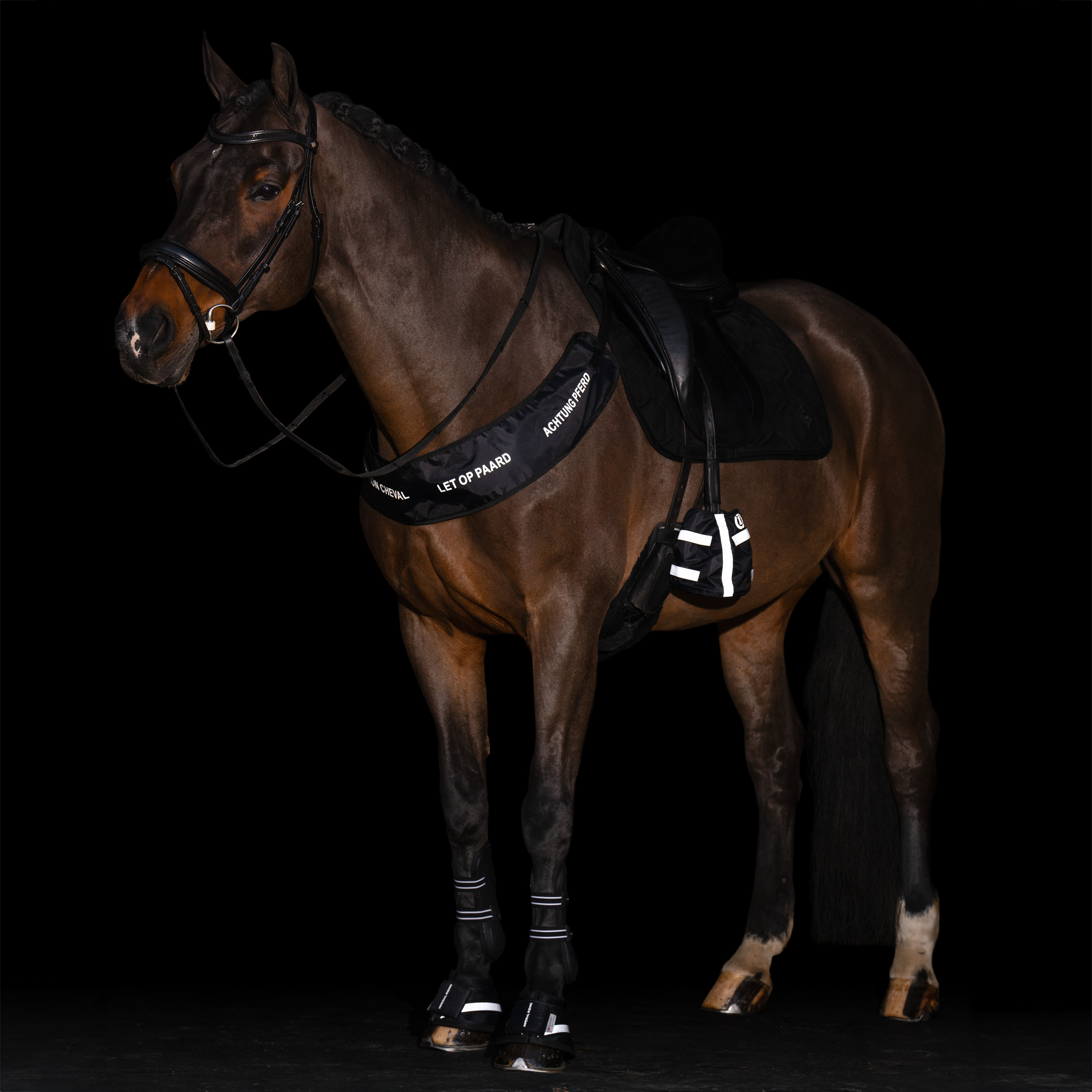 Imperial Riding Bellboots Reflective - Black - 4
