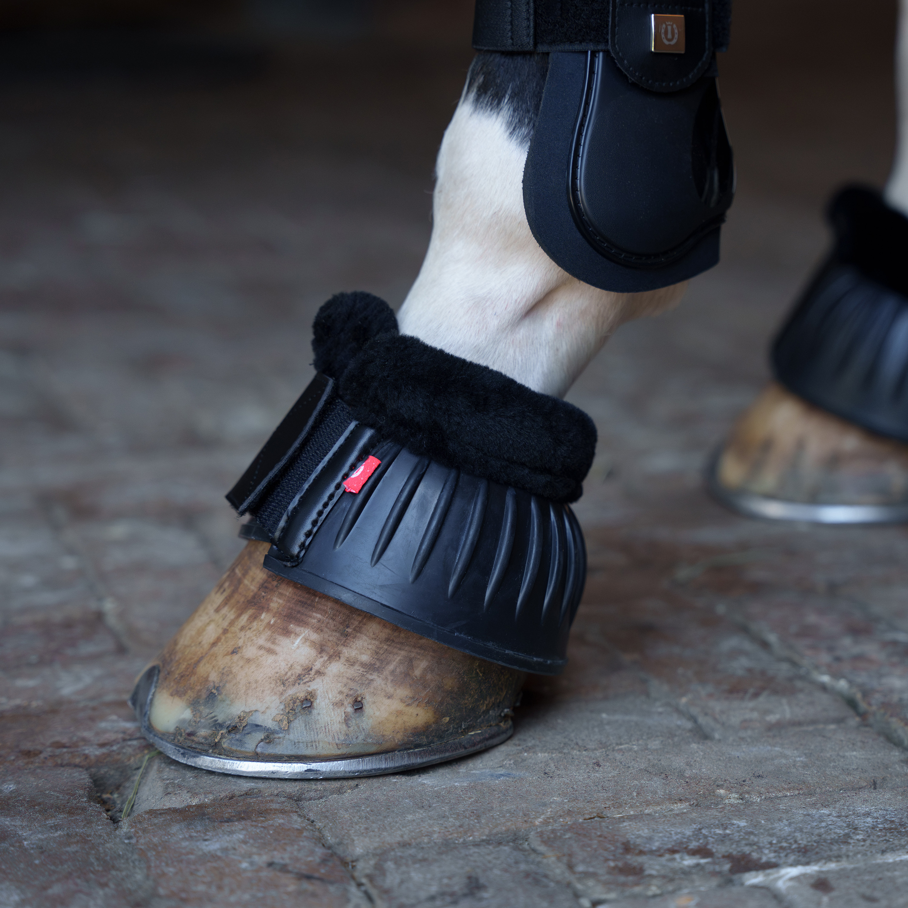 Imperial Riding Boots Bells fur - Svart - 2