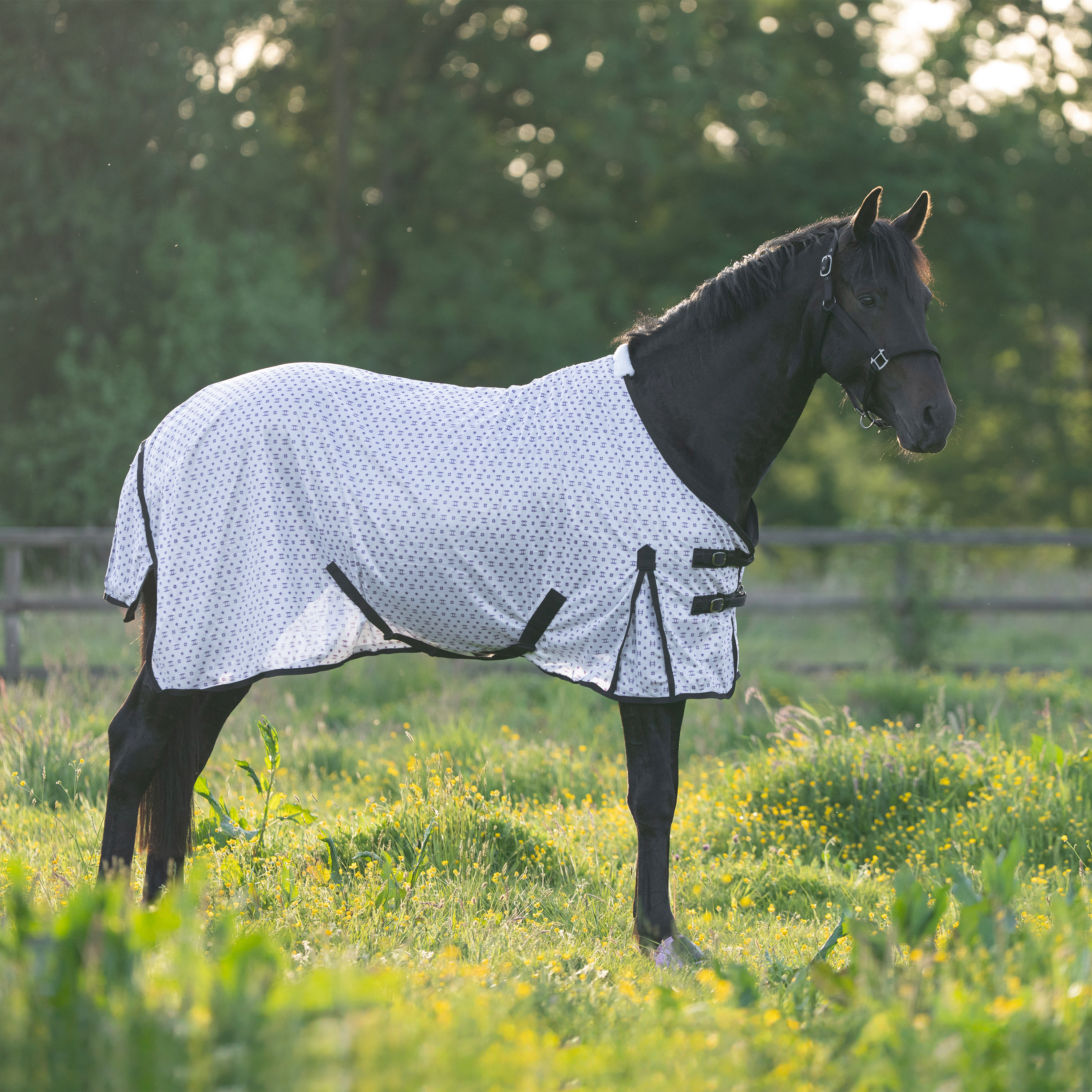 Imperial Riding Fly blanket Carlys - Ballerina AOP - 3