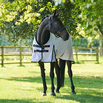 Imperial Riding Fly blanket Carlys - Ballerina AOP