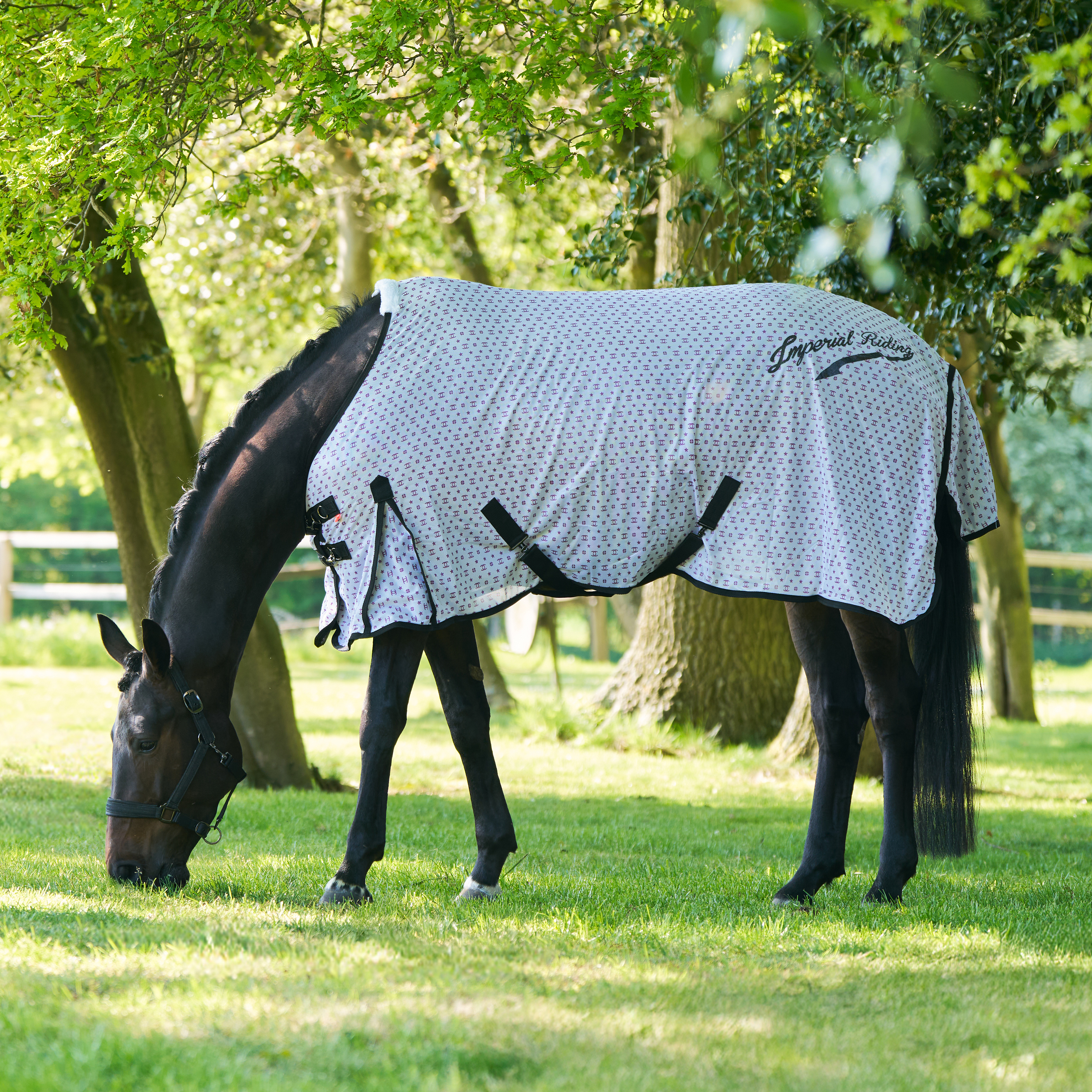 Imperial Riding Fly blanket Carlys - Ballerina AOP - 2