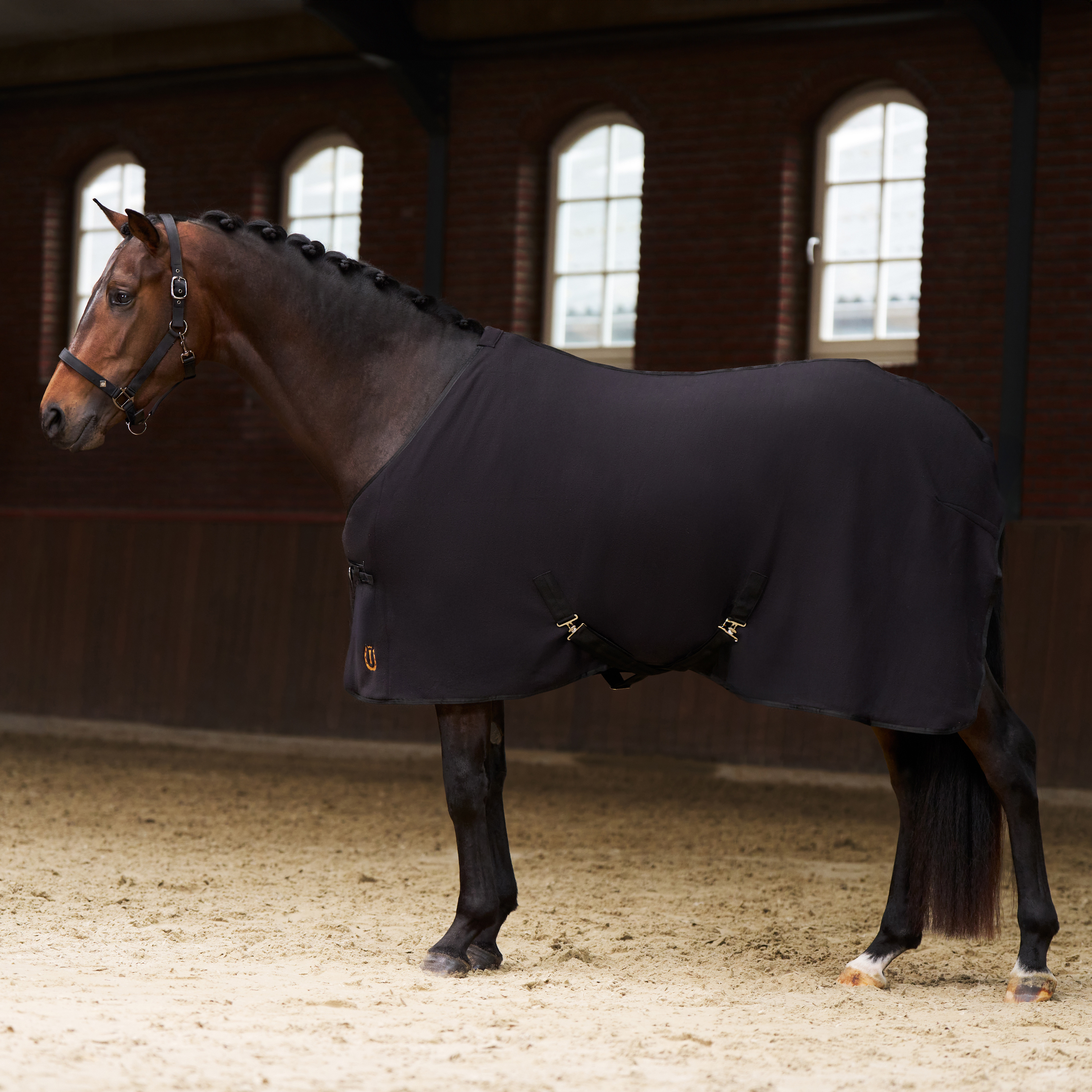 Imperial Riding Fleece blanket Fundamental - Black - 6