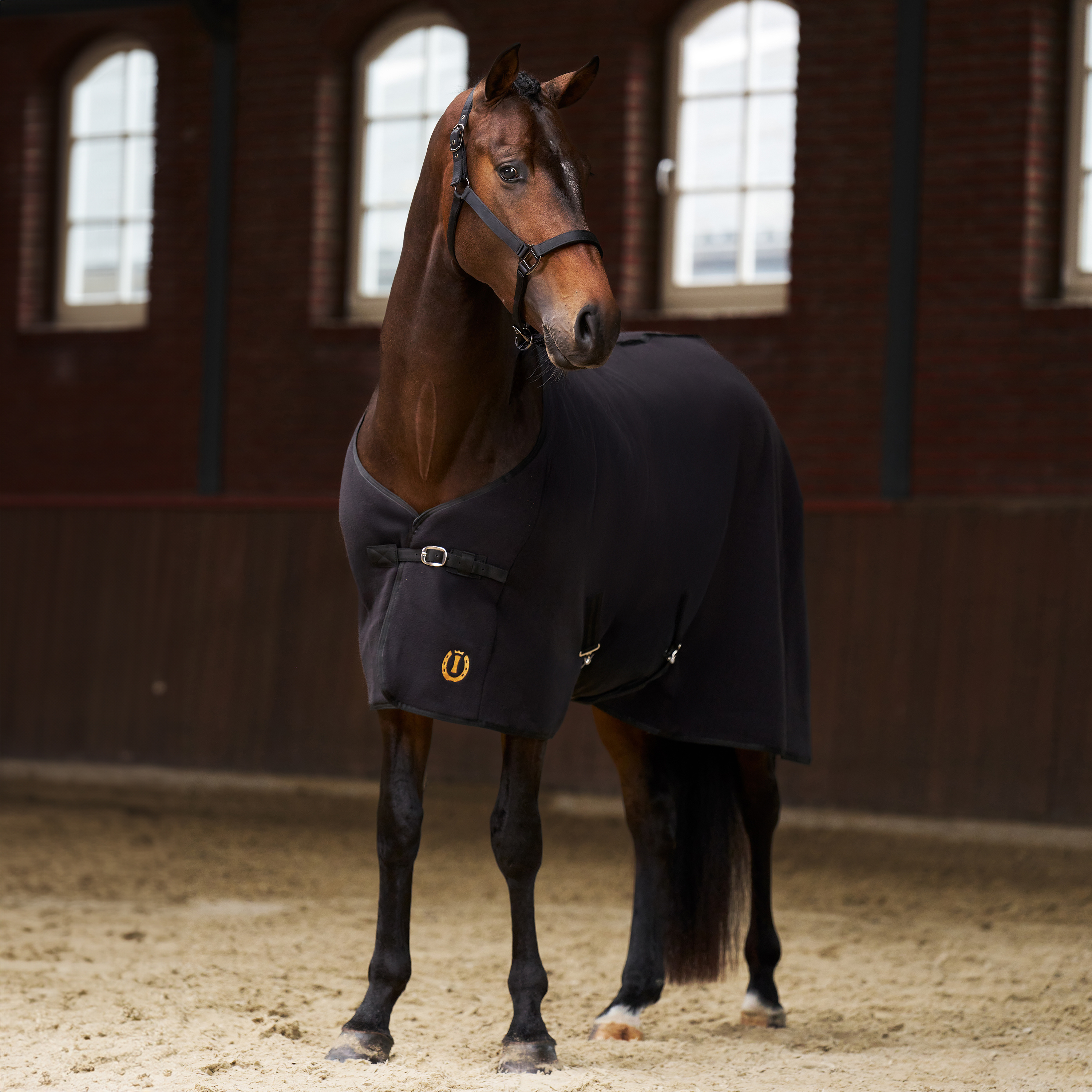 Imperial Riding Fleece blanket Fundamental - Black