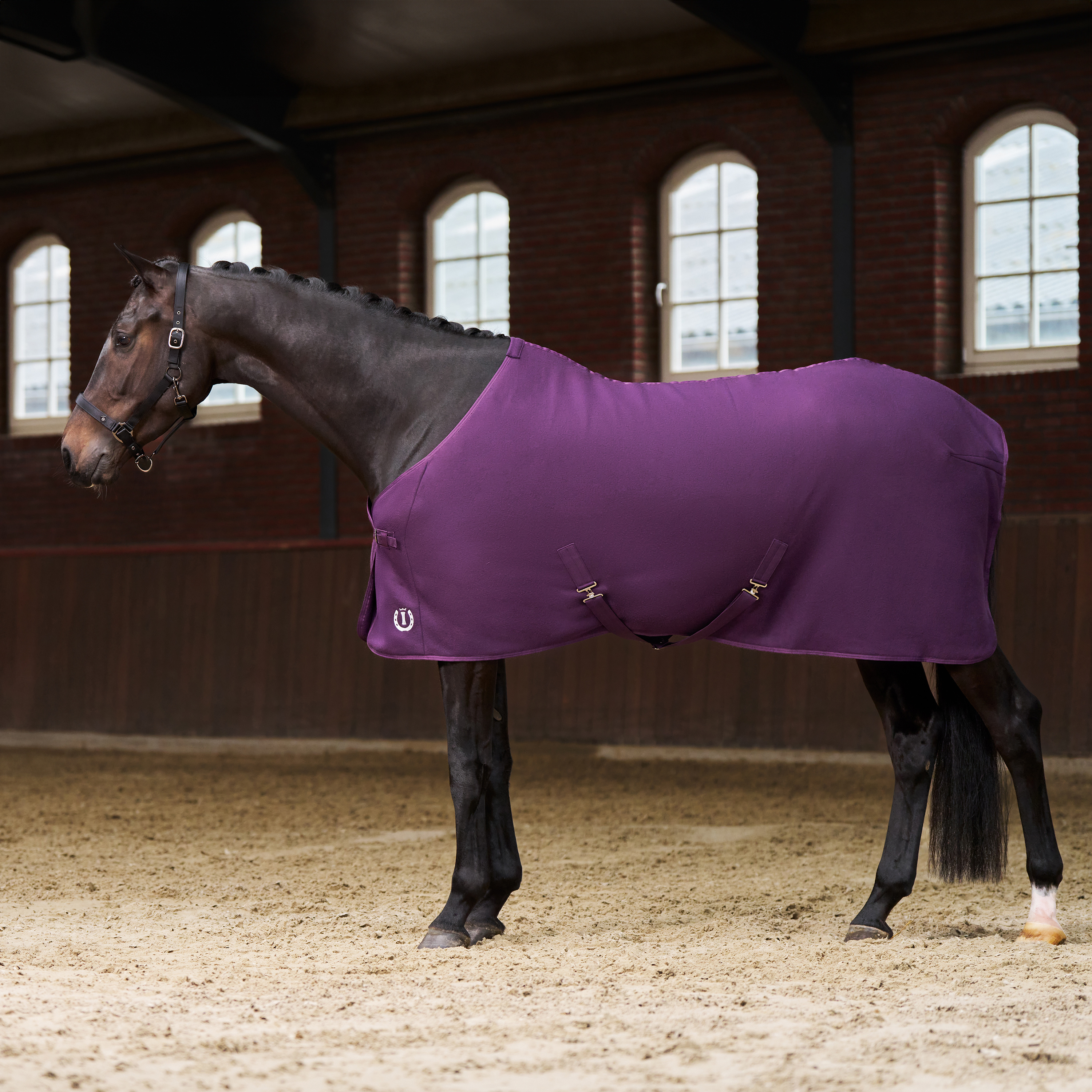 Imperial Riding Fleece blanket Fundamental - Fig - 6