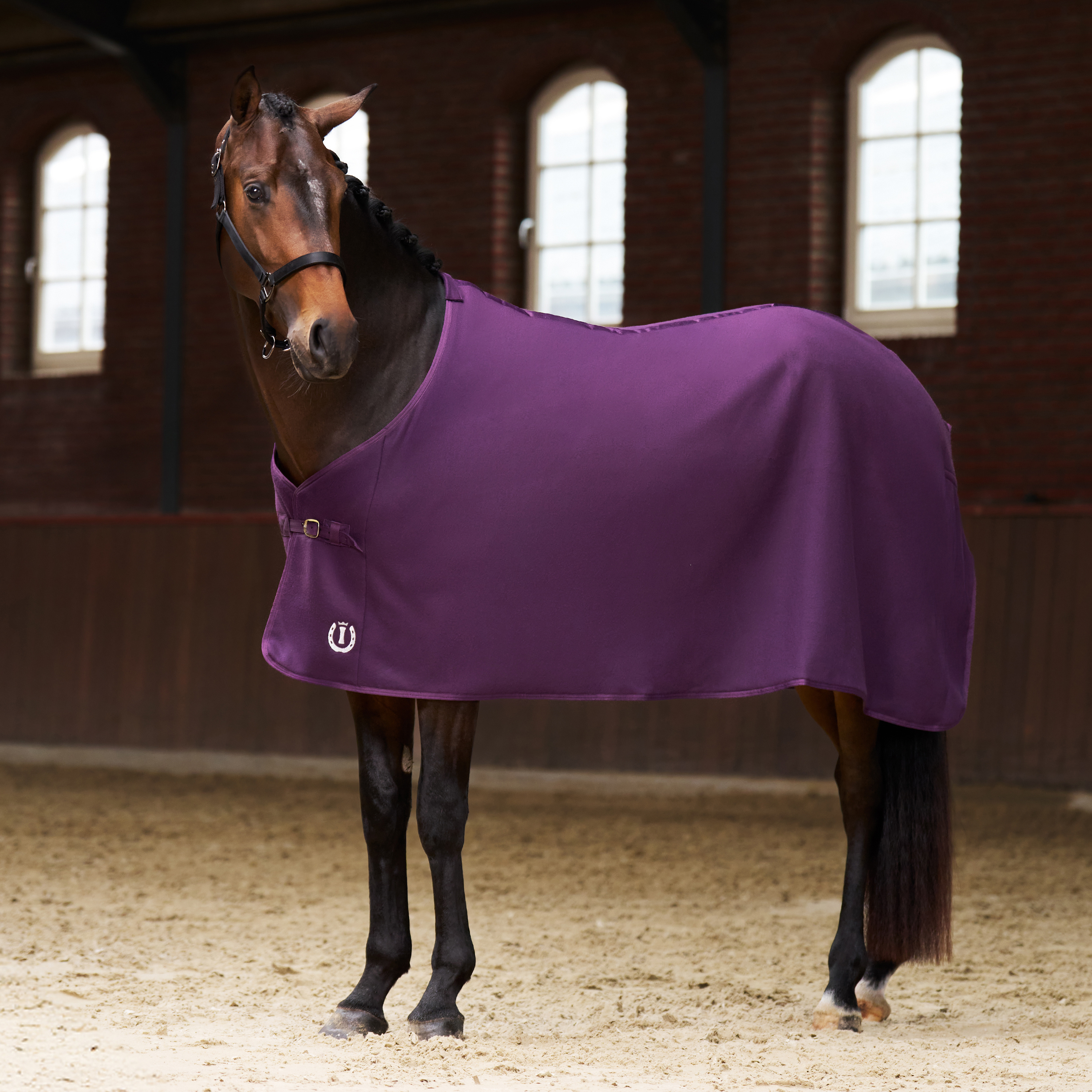 Imperial Riding Fleece blanket Fundamental Basic - Fig