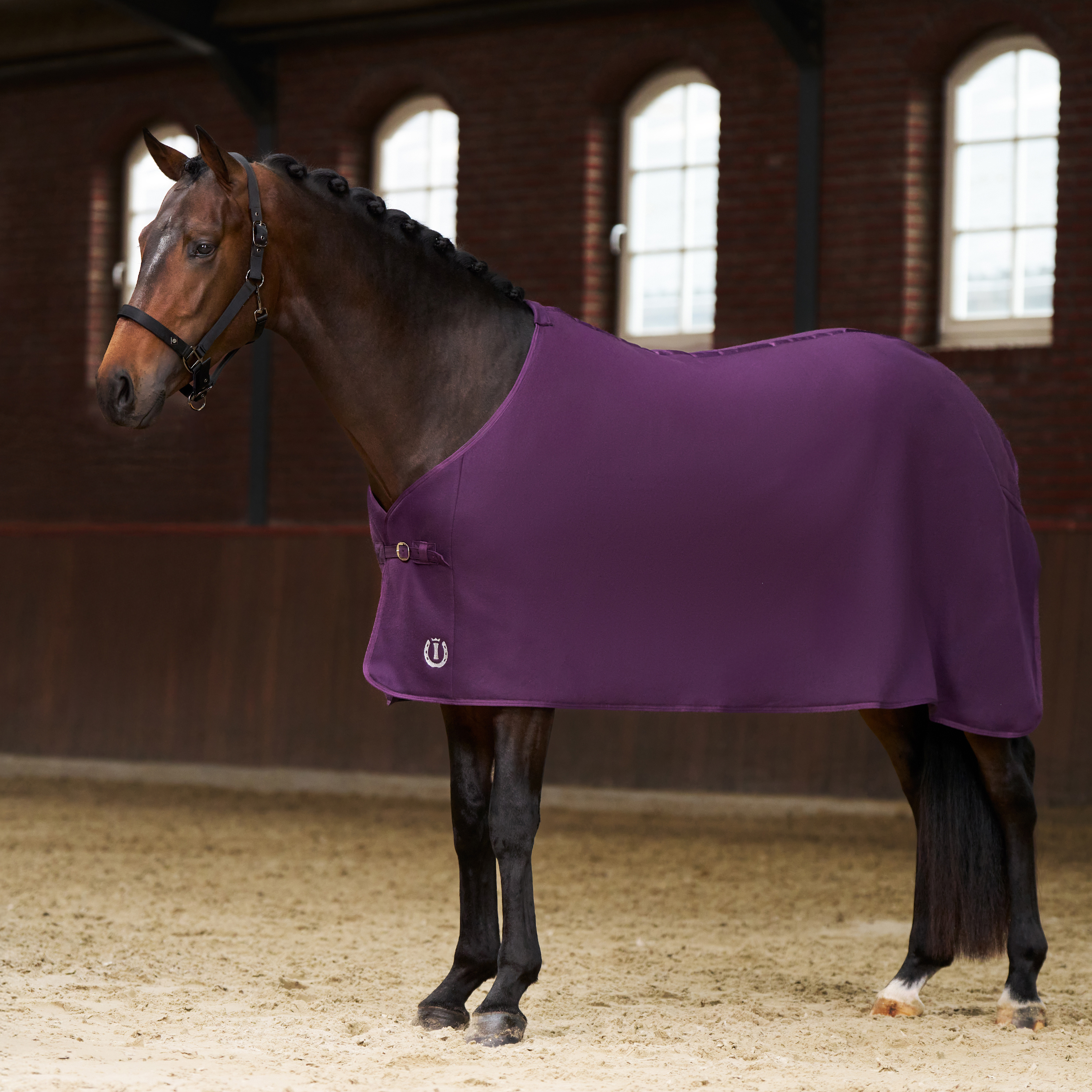 Imperial Riding Fleece blanket Fundamental Basic - Fig - 2