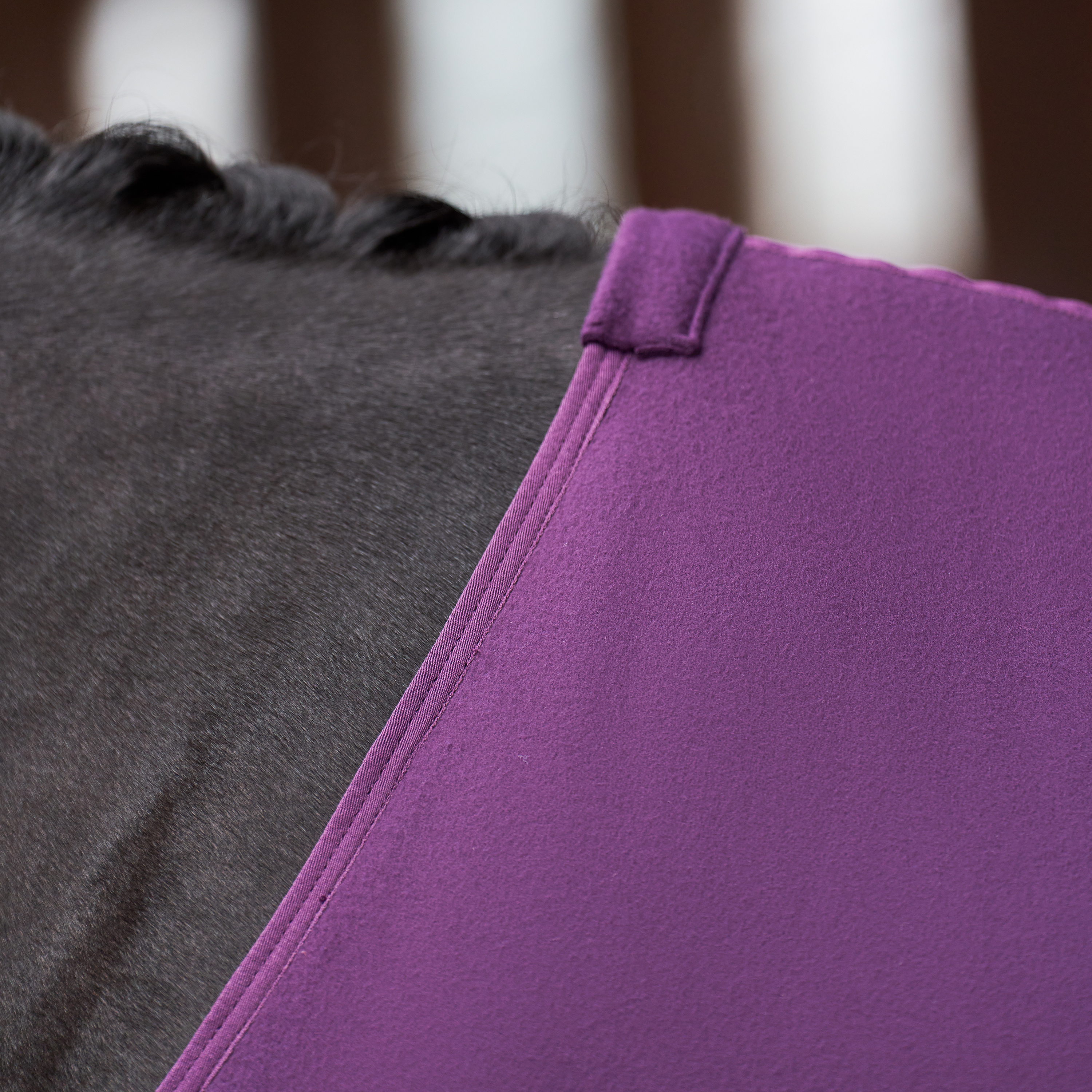 Imperial Riding Fleece blanket Fundamental Basic - Fig - 4