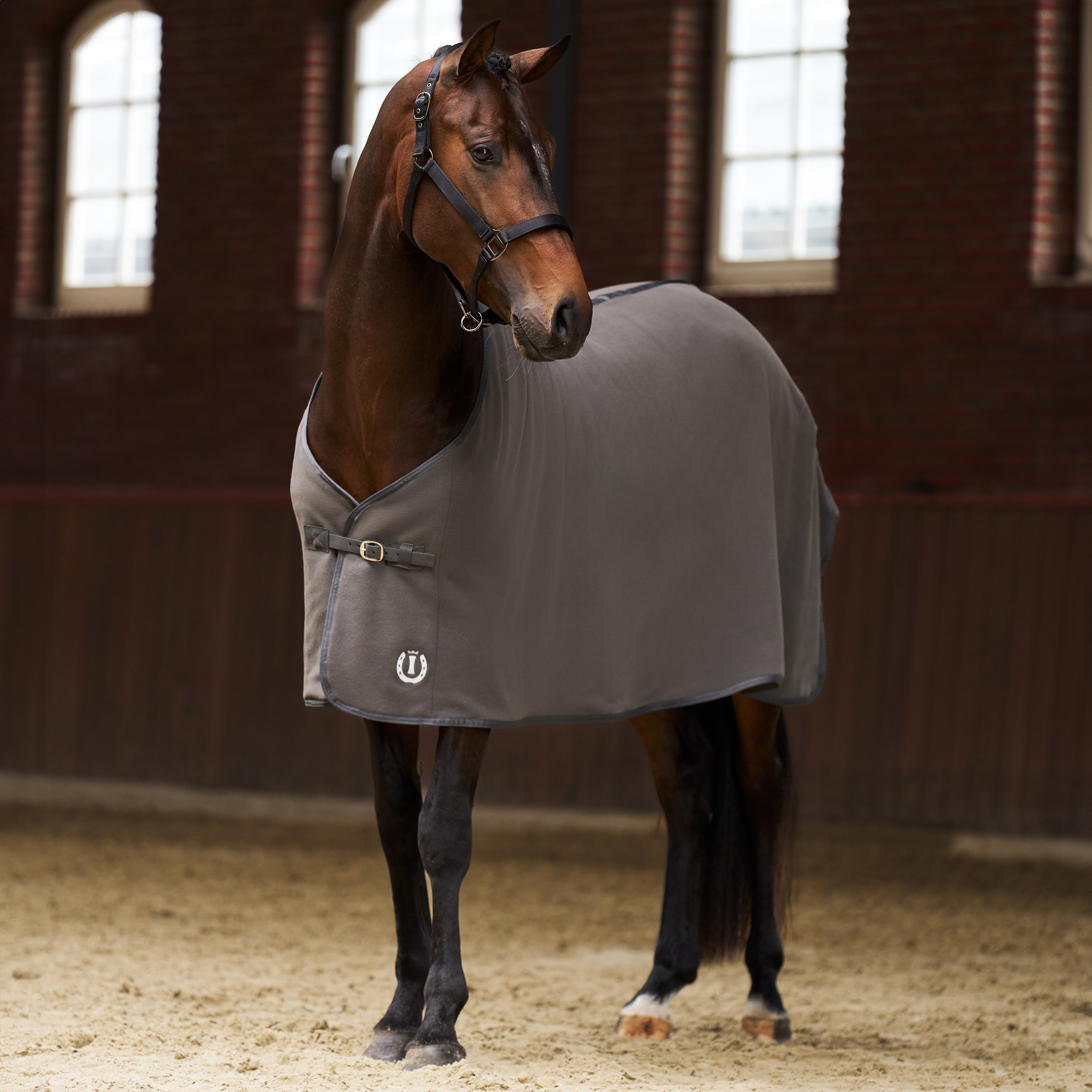 Imperial Riding Fleece-loimi Fundamental Basic - Harmaa