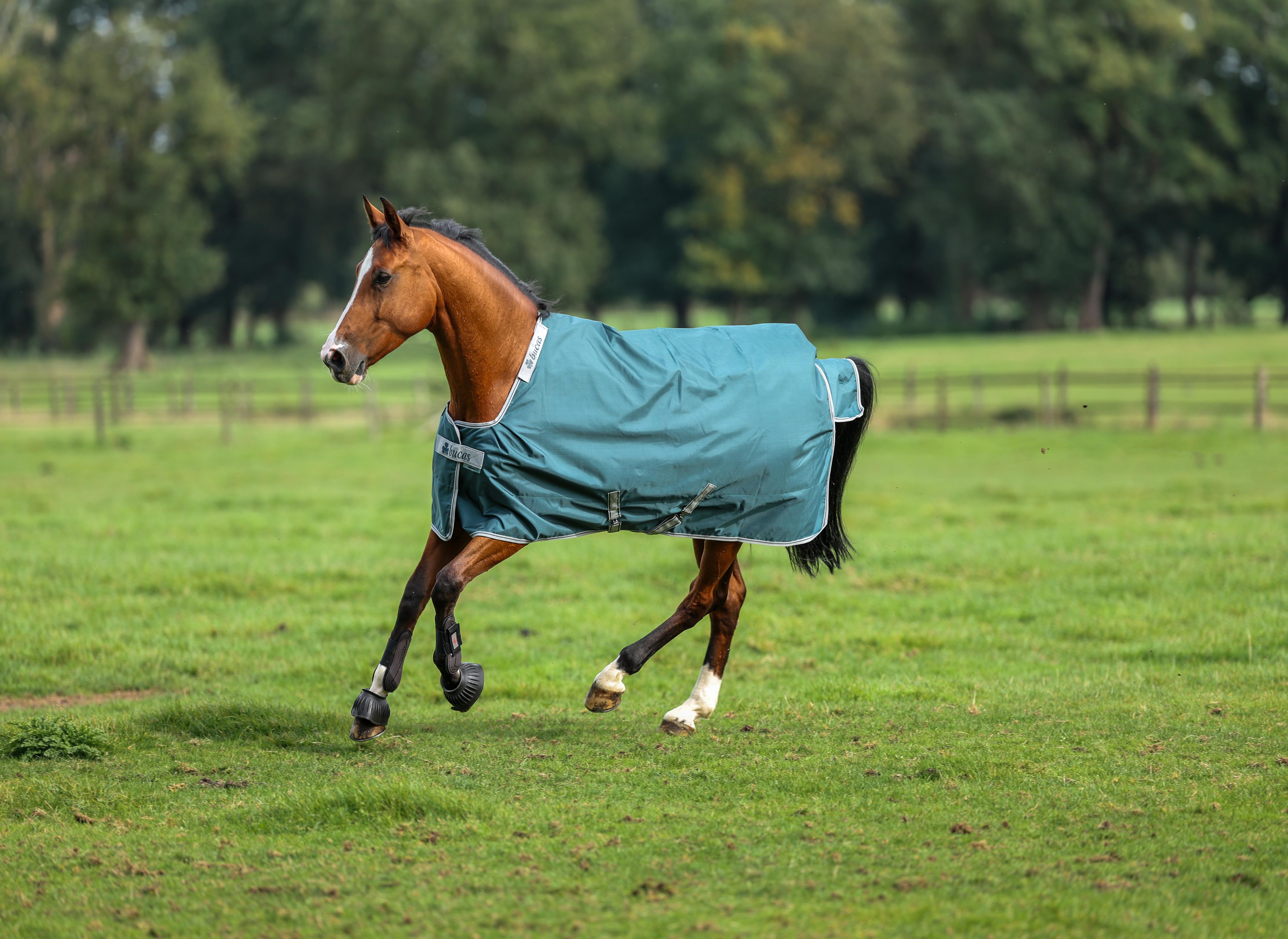Bucas Atlantic Turnout 50 g Ulkoloimi - Atlantic Green 