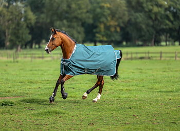 Bucas Atlantic Turnout 50 g Horse Rug - Atlantic Green 
