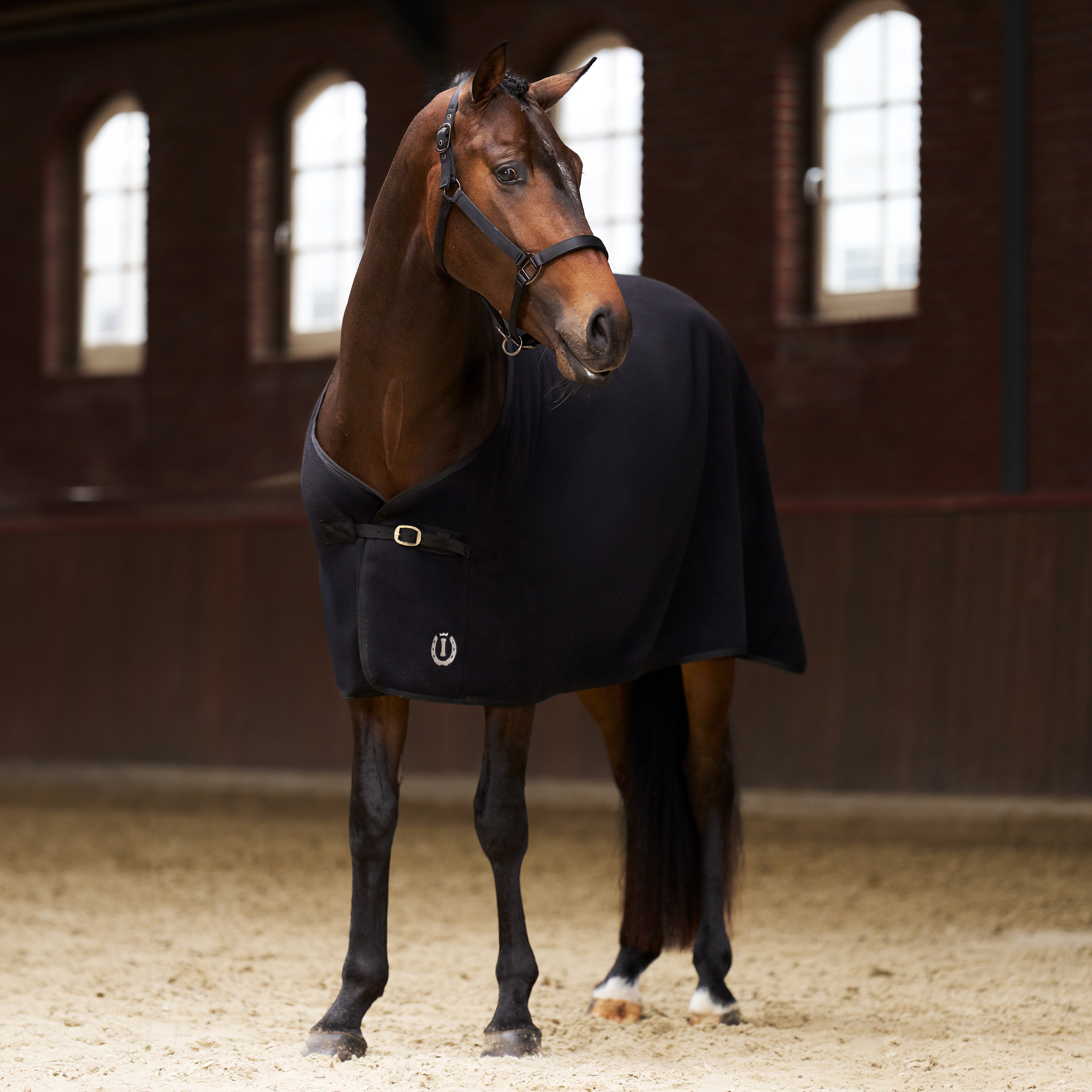 Imperial Riding Fleece blanket Fundamental Basic - Black