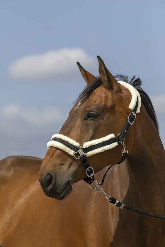 EQUITHEME 'Nylon Mouton' Grimma Svart/Vit (Cob)