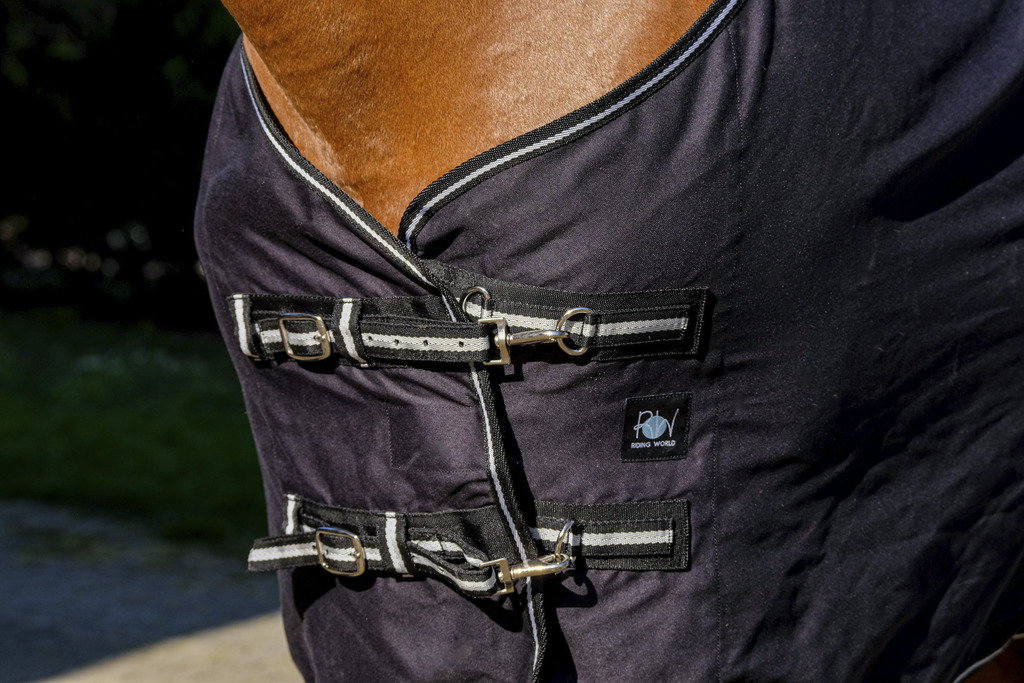RIDING WORLD Shiny Sheet Black, 6'6 - 145 cm - 2
