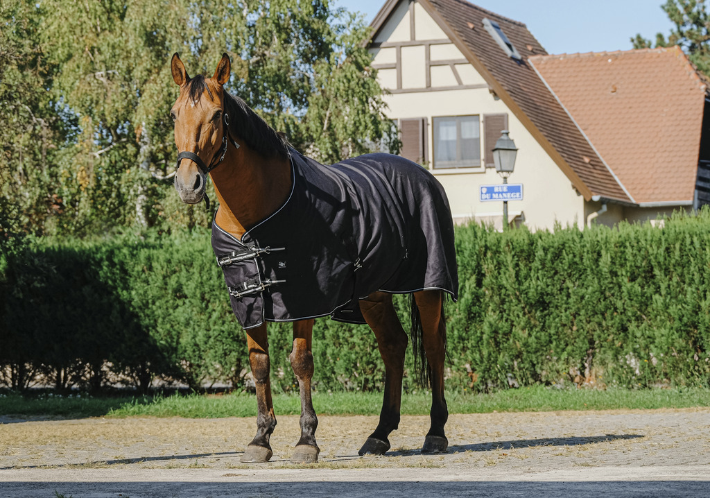 RIDING WORLD Shiny Sheet Black, 6'6 - 145 cm - 5