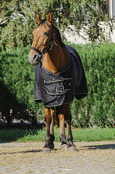 RIDING WORLD Shiny Hästtäcke Svart, 6'6 - 145 cm