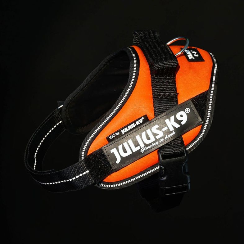 Julius-K9 IDC® Harness Puppy - UV Orange - 2