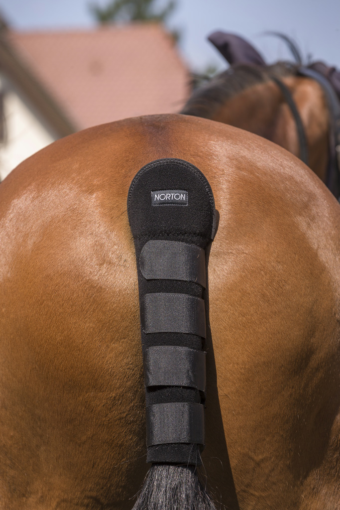NORTON High Protection Svansskydd Svart - 2