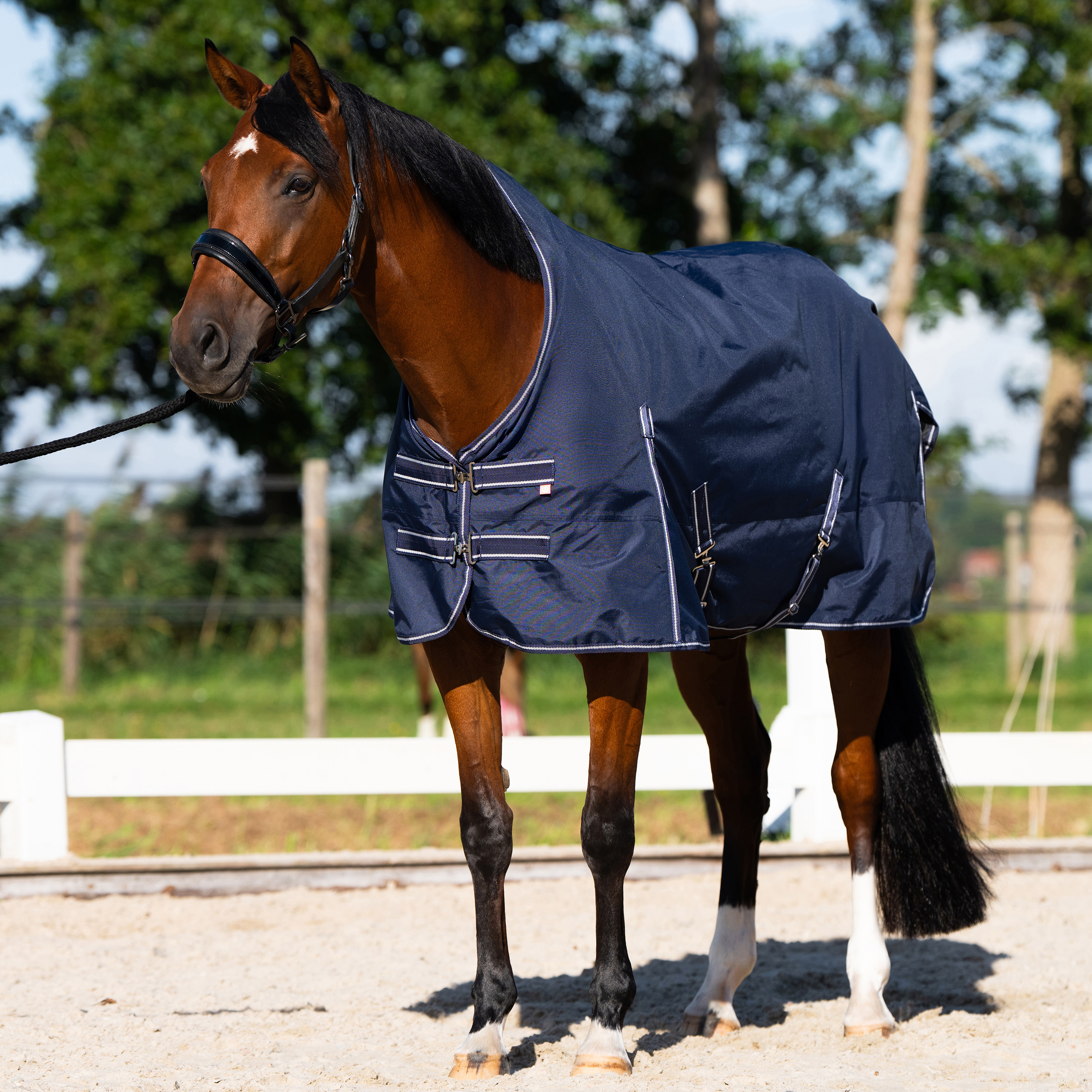 Imperial Riding Utomhustäcke Basic with high neck Fleece - Marinblå