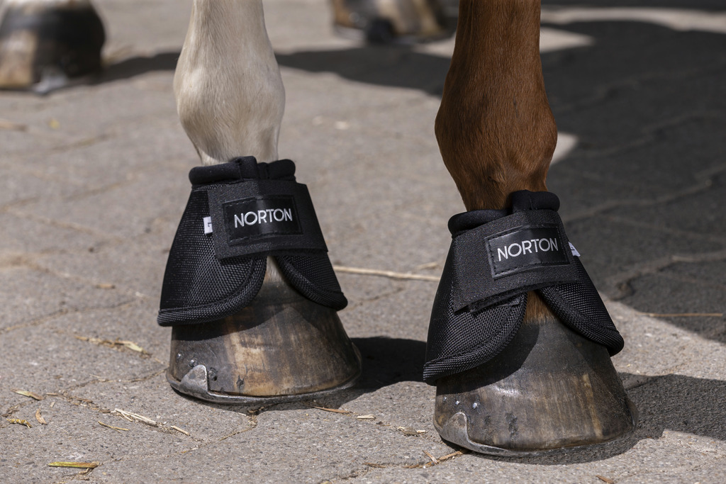 NORTON '2520 D' Boots Svart - 2
