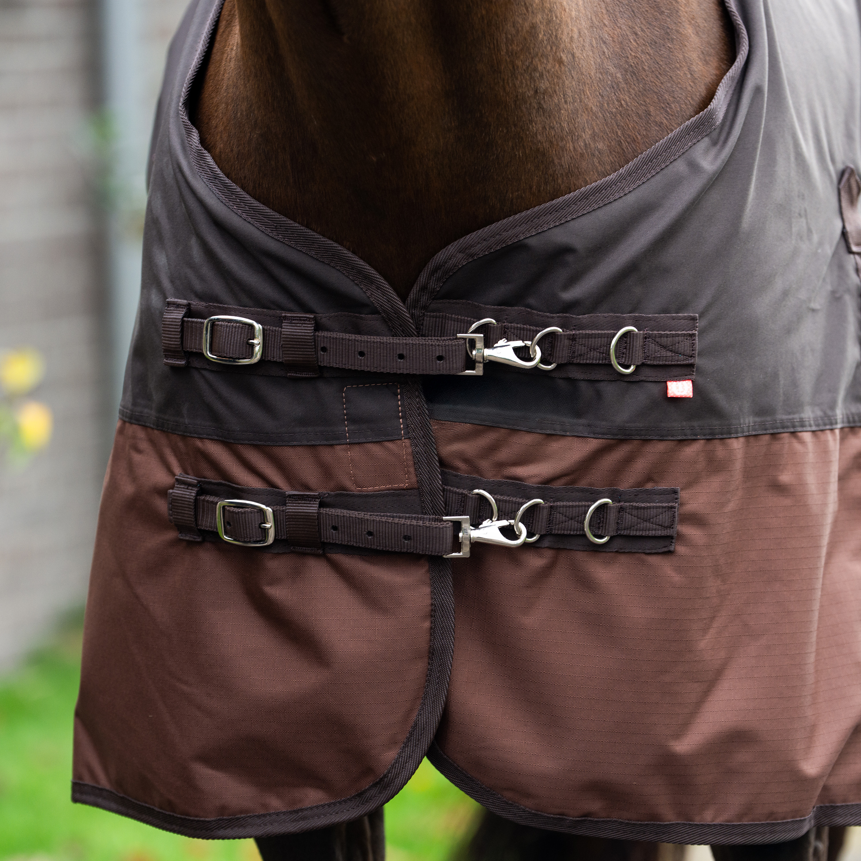 Imperial Riding Outdoor blanket Customized without neck 400gr - Dark Brown - Light Brown - 4