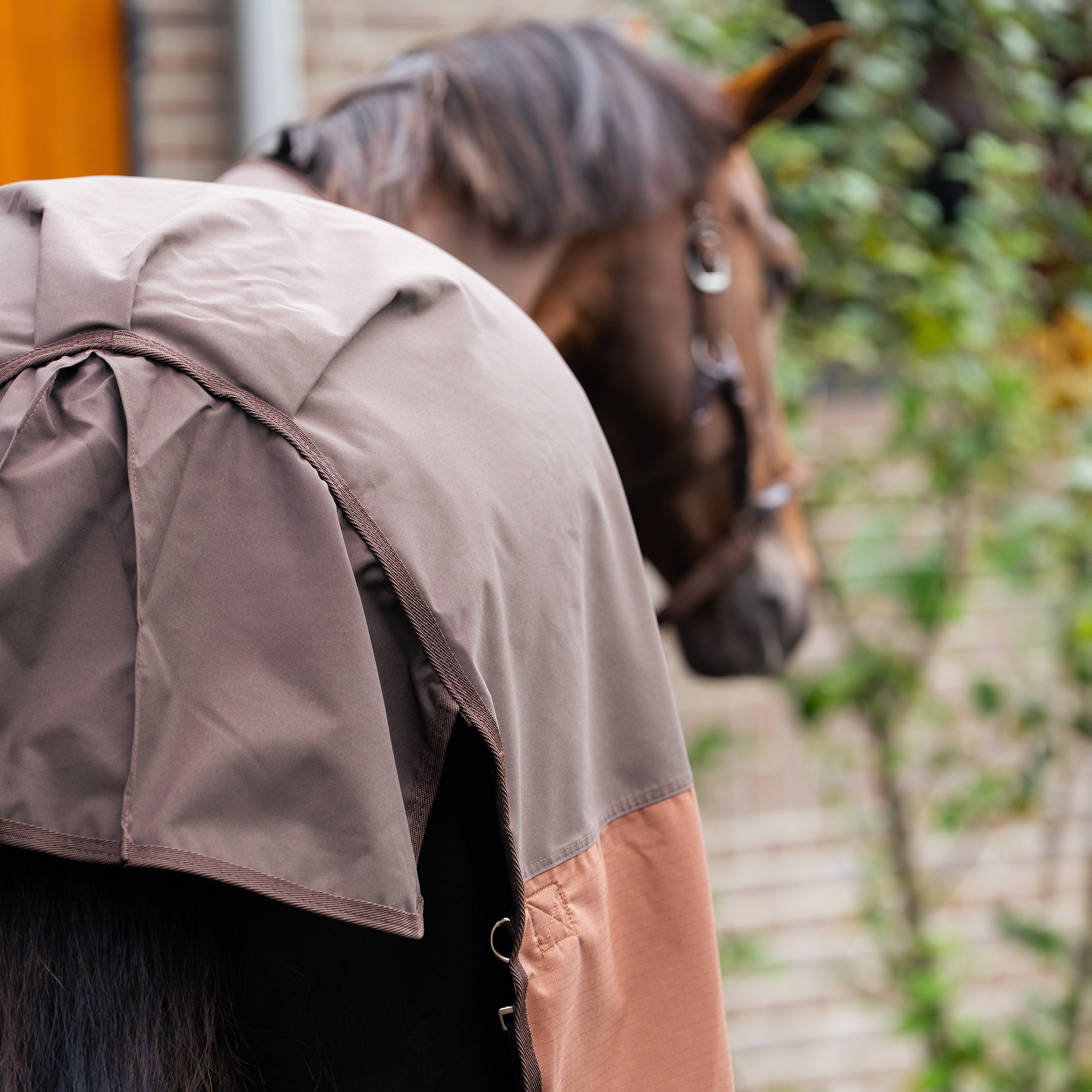Imperial Riding Outdoor blanket Customized without neck 400gr - Dark Brown - Light Brown - 3