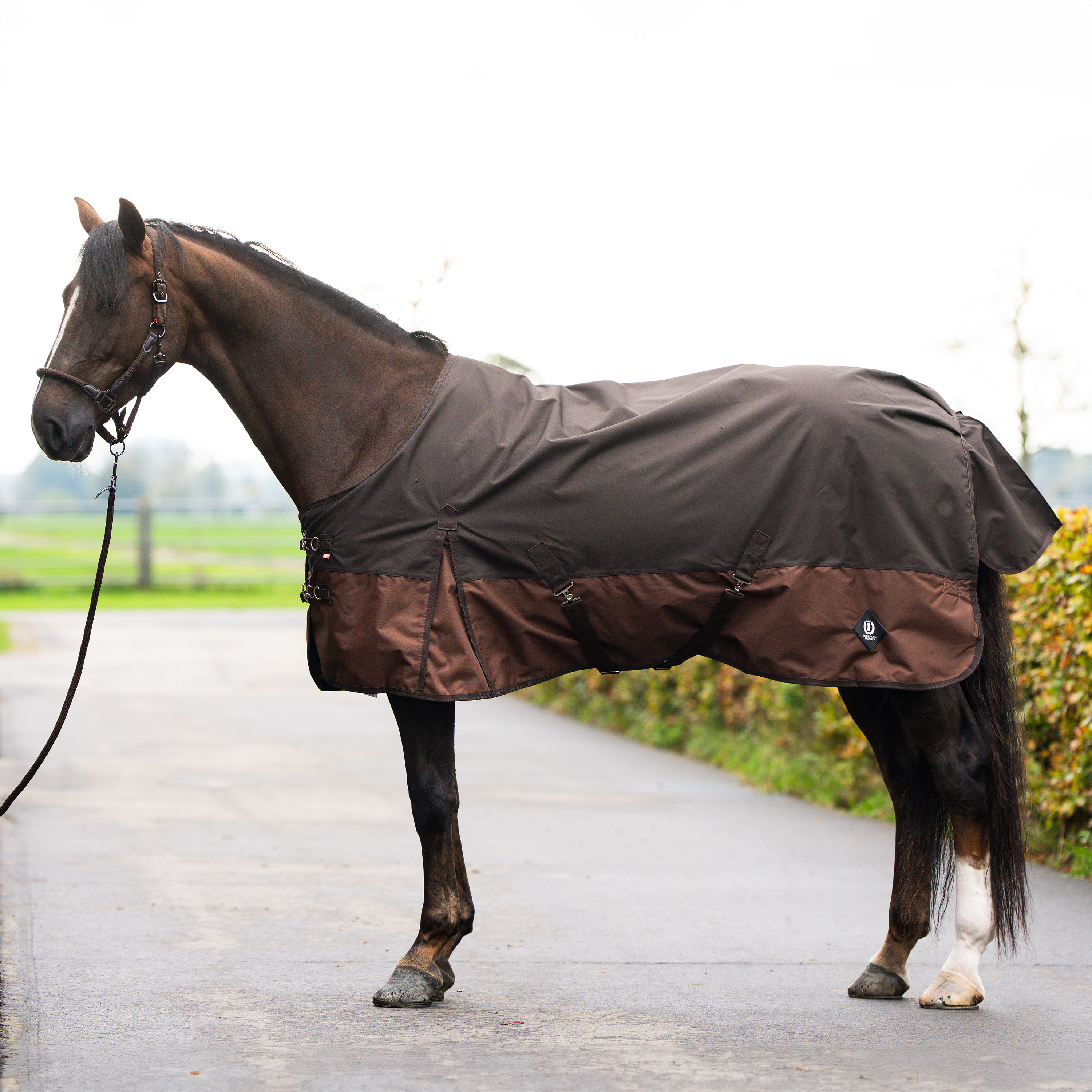 Imperial Riding Outdoor blanket Customized without neck 400gr - Dark Brown - Light Brown - 2