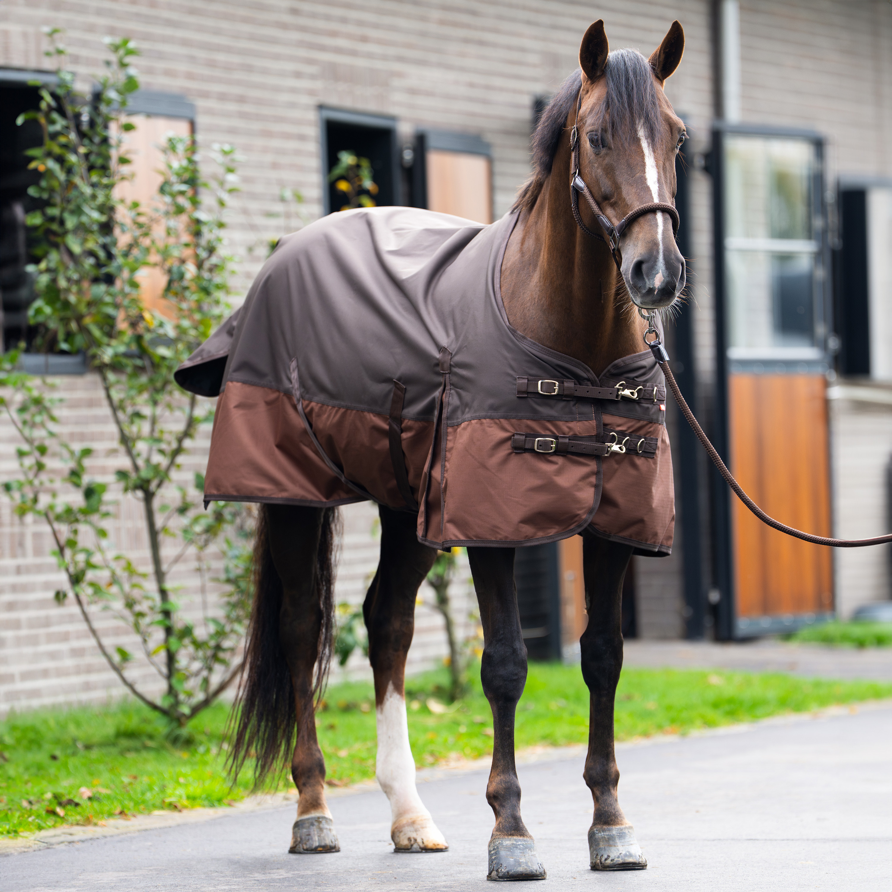 Imperial Riding Outdoor blanket Customized without neck 400gr - Dark Brown - Light Brown