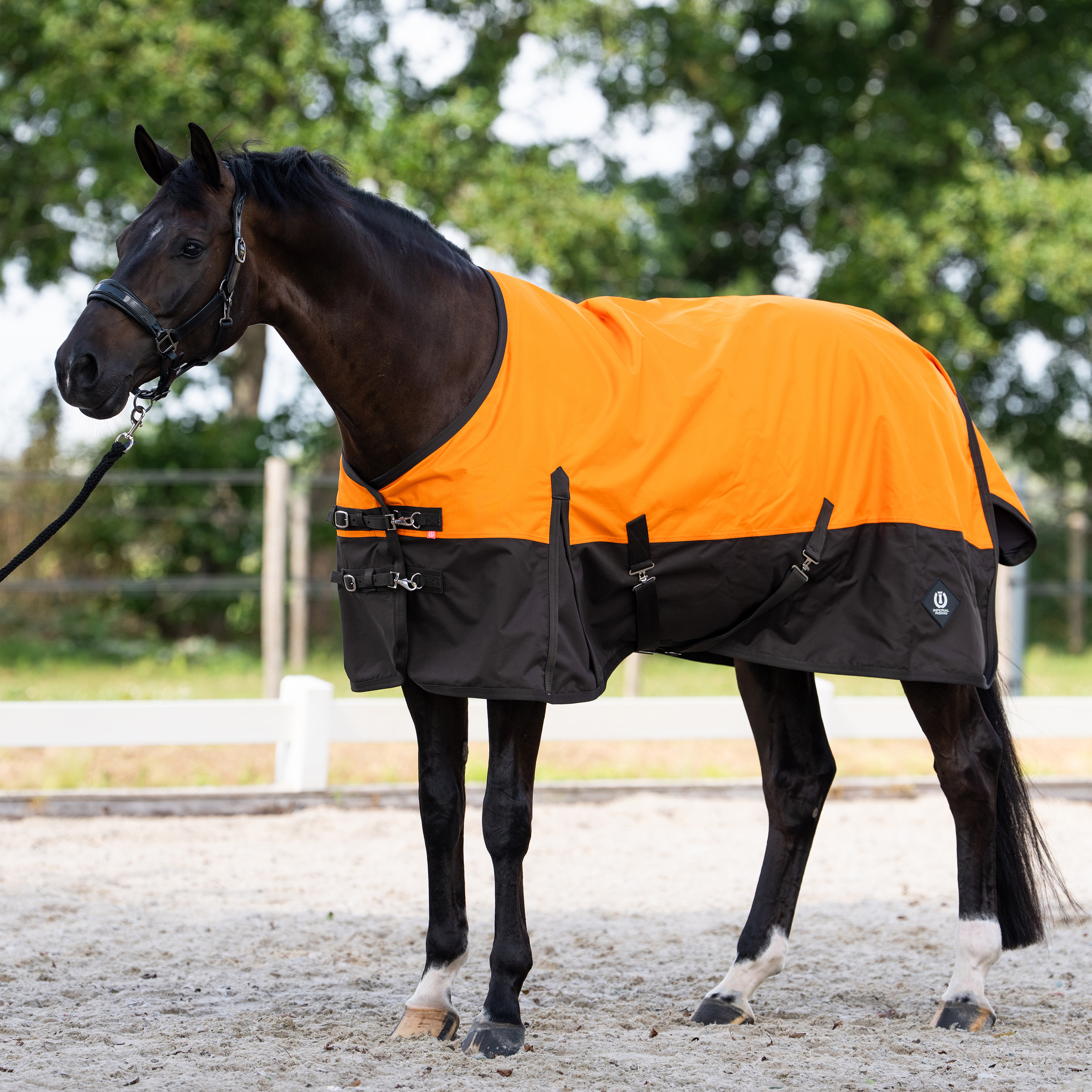 Imperial Riding Ulkoloimi Customized without neck Summer - Oranssi-Tummanruskea
