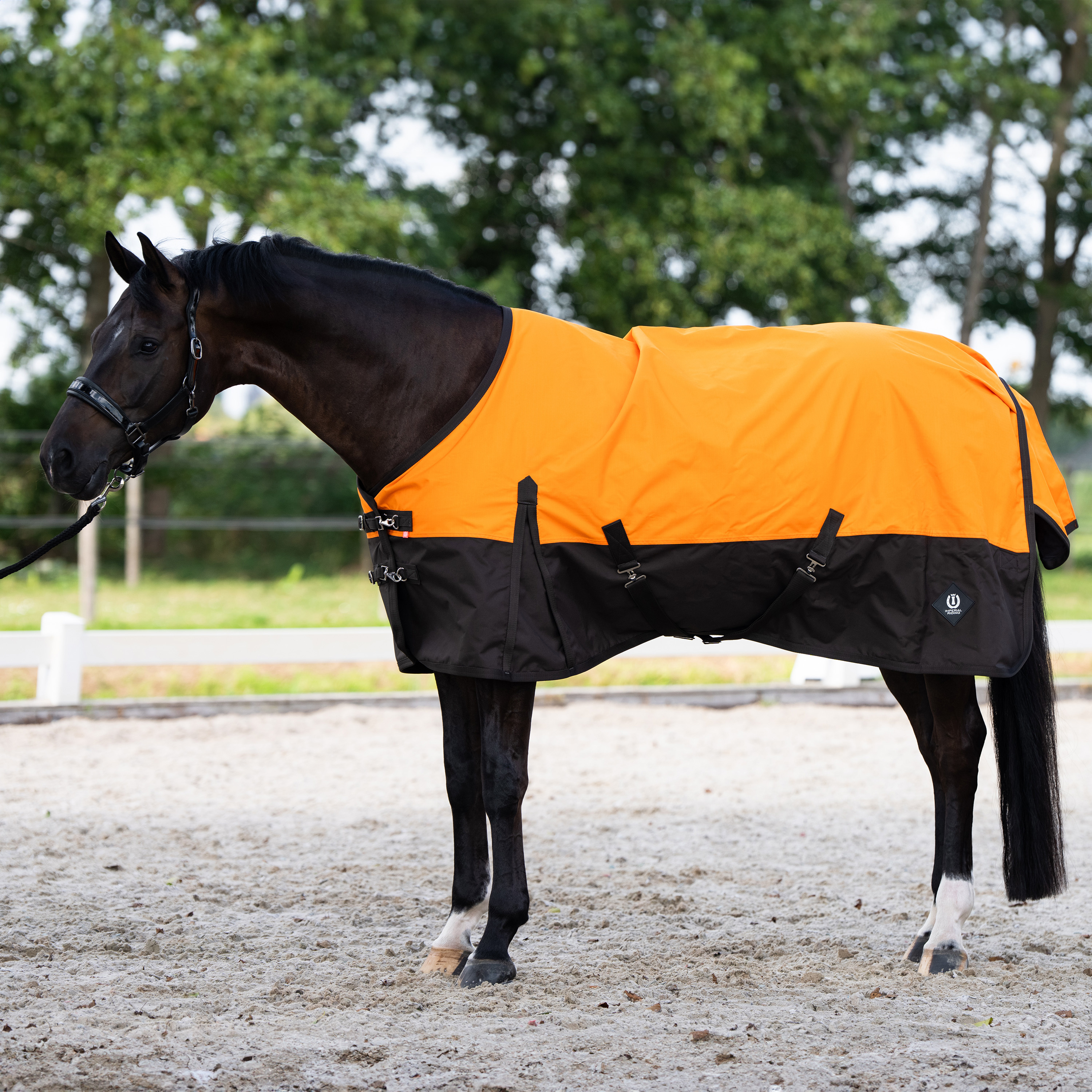 Imperial Riding Ulkoloimi Customized without neck Summer - Oranssi-Tummanruskea - 6