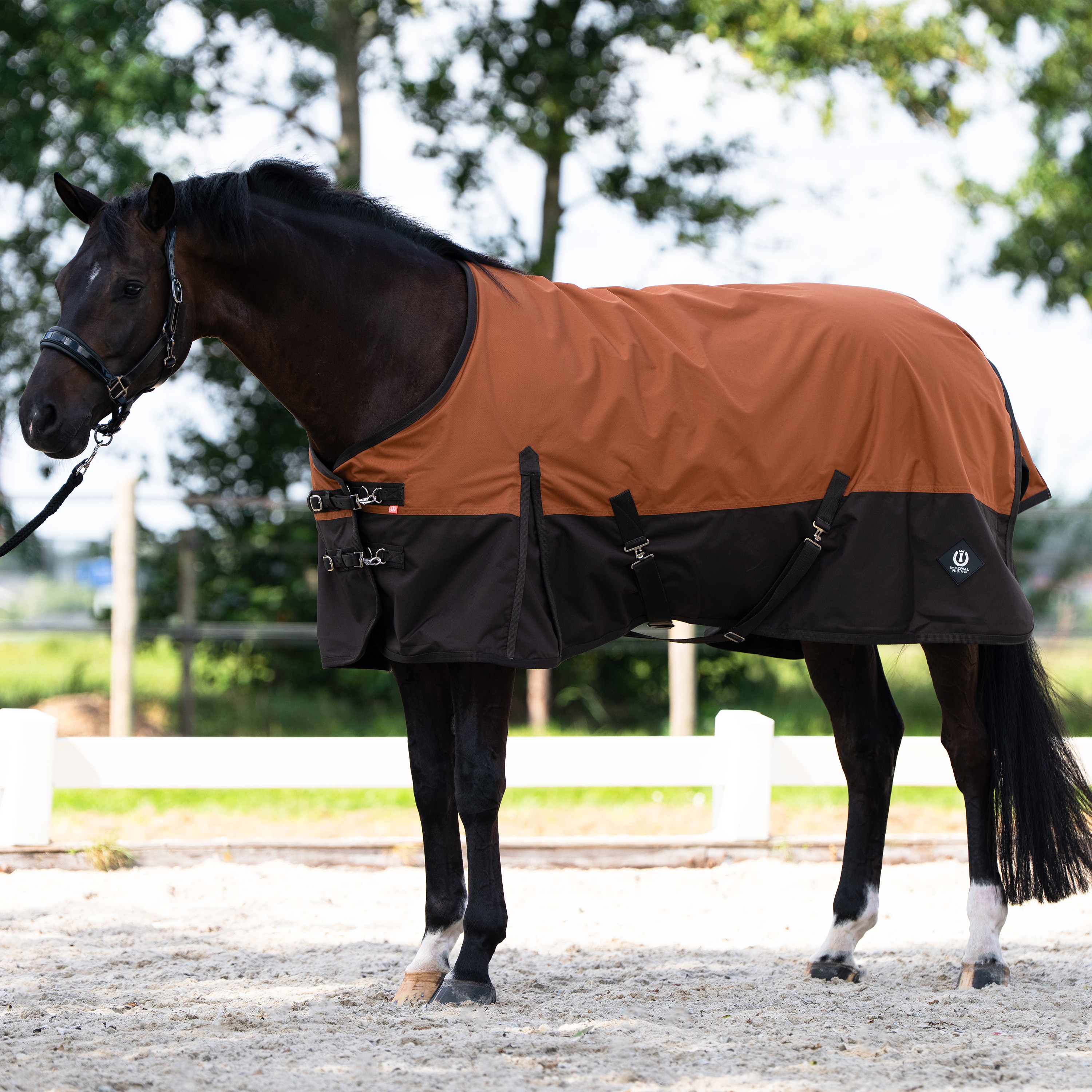 Imperial Riding Ulkoloimi Customized without neck Summer - Kettu - Tummanruskea - 6