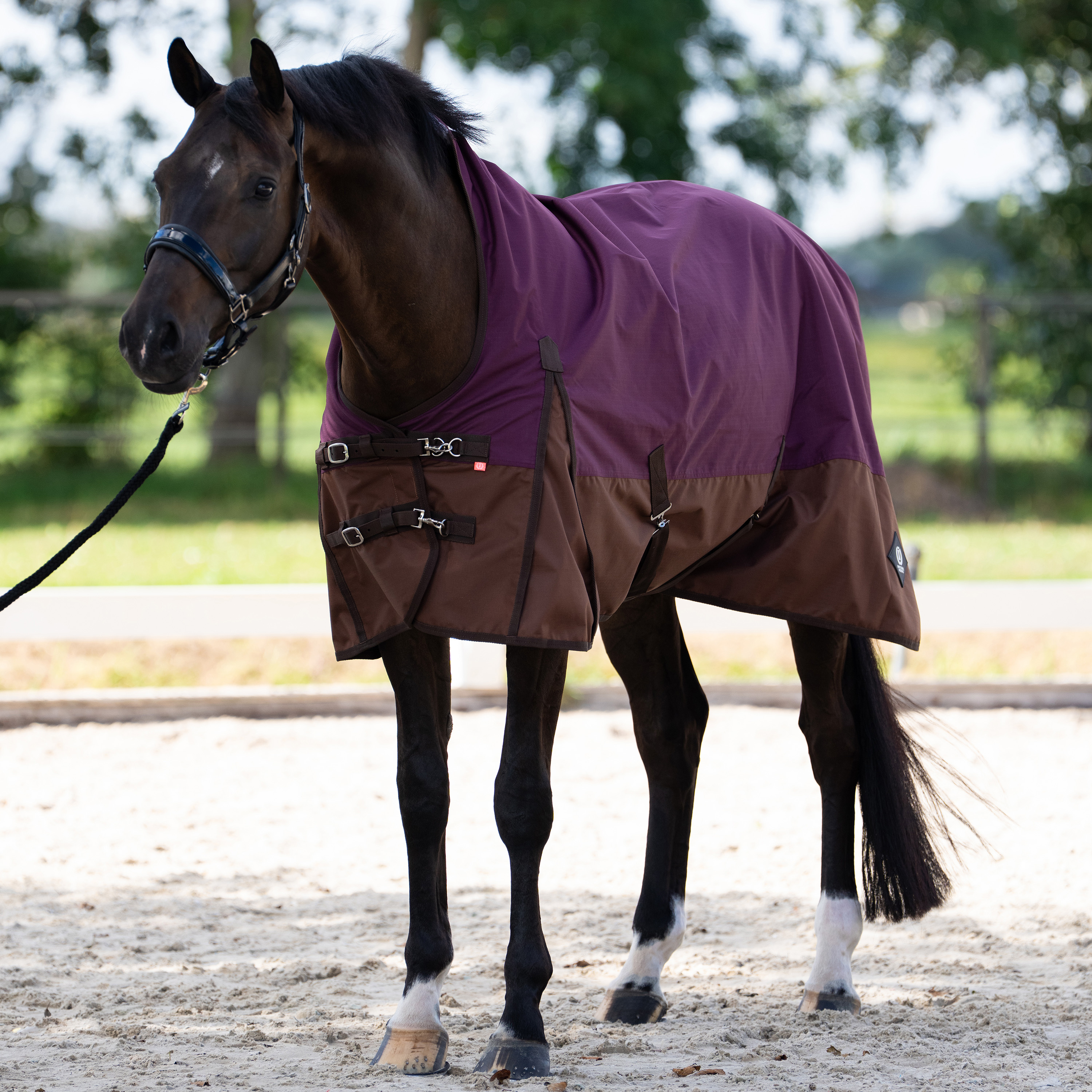 Imperial Riding Outdoor blanket Customized with high neck 300gr - Burgundy - Light Brown
