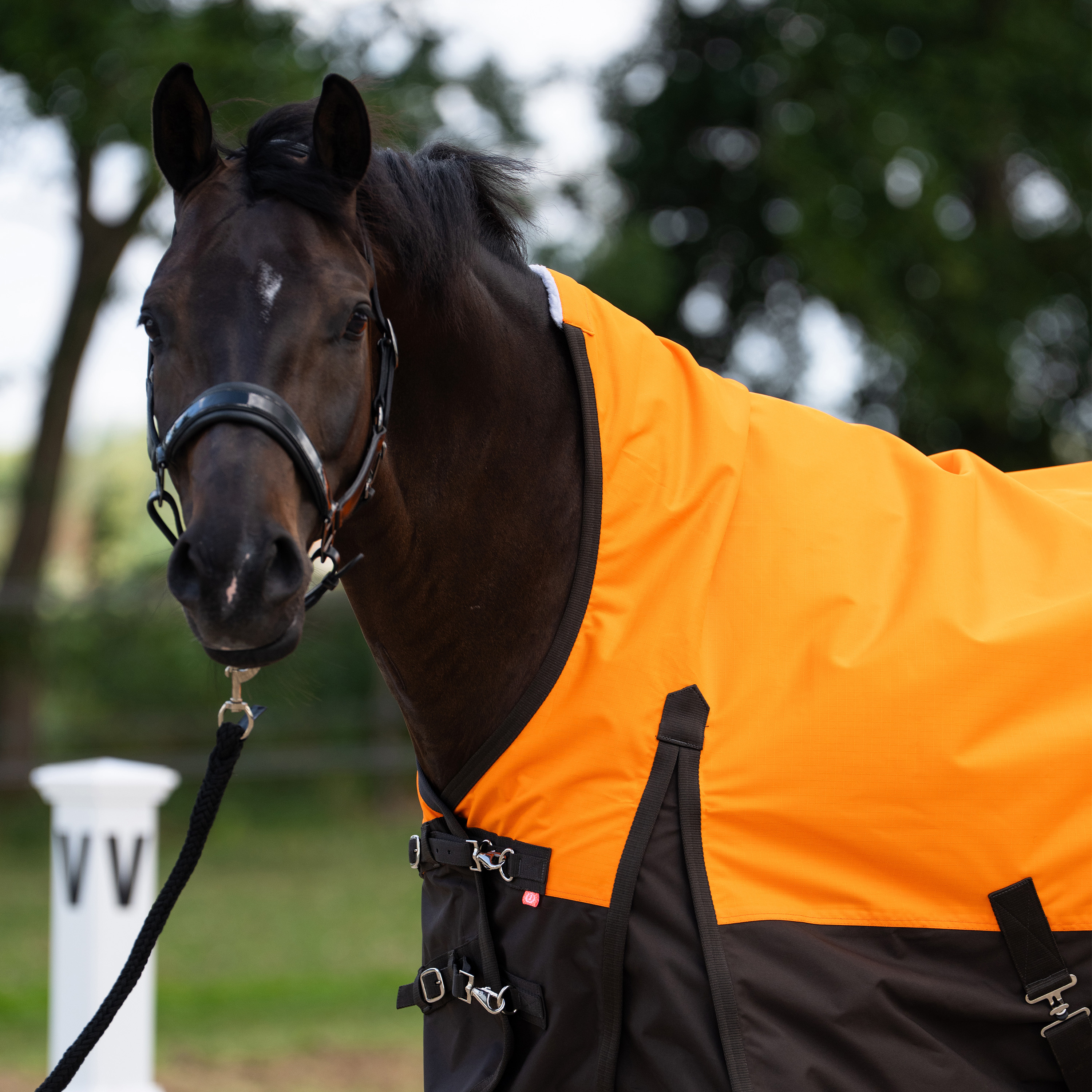 Imperial Riding Outdoor blanket Customized with high neck Summer - Orange-Dark Brown - 6