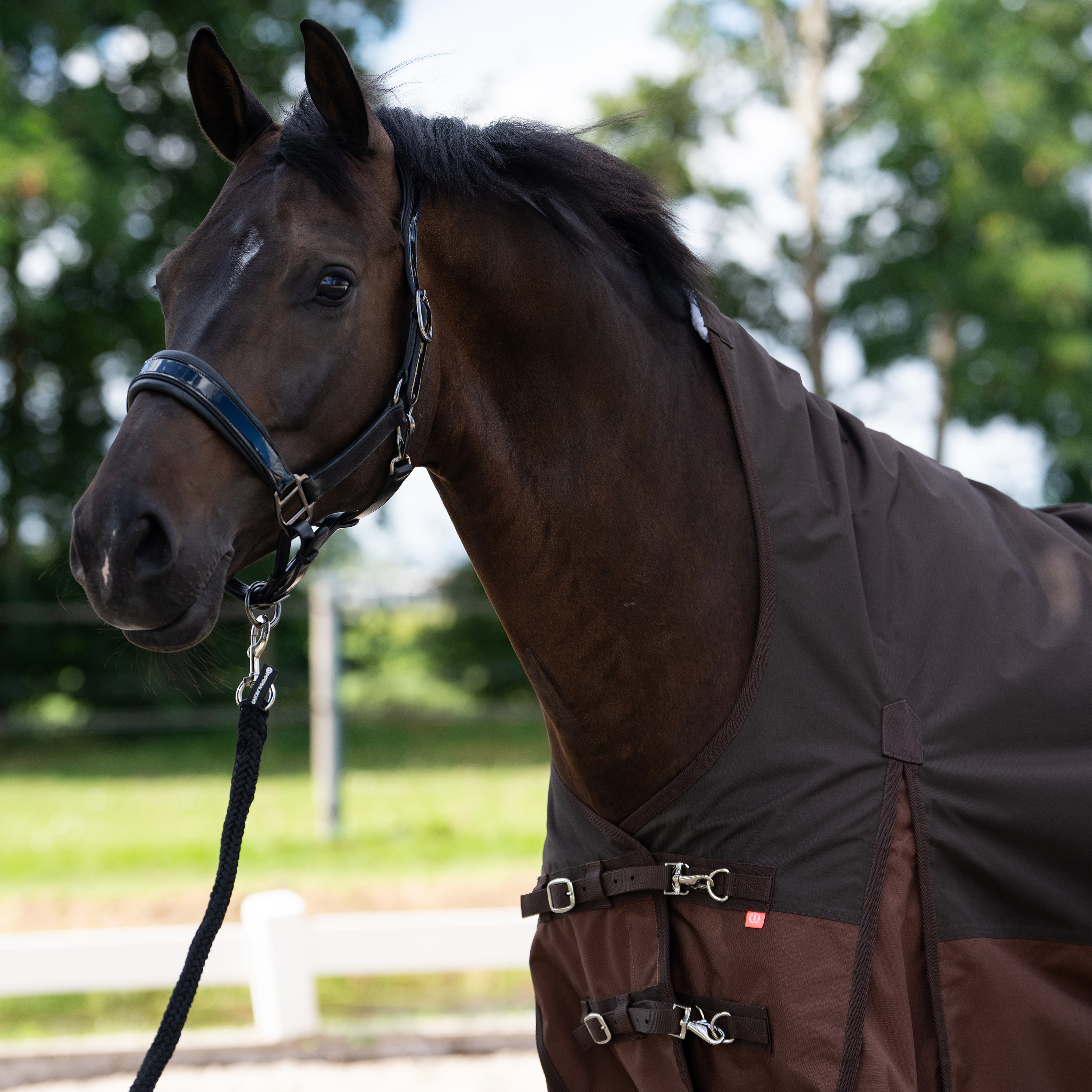 Imperial Riding Ulkoloimi Customized with high neck Summer - Tummanruskea - Vaaleanruskea - 6
