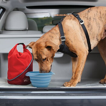 Kurgo Ruokalaukku koiralle - Kibble Carrier Chili red