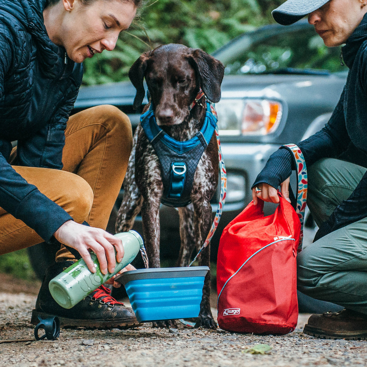 Kurgo Ruokalaukku koiralle - Kibble Carrier Chili red - 6
