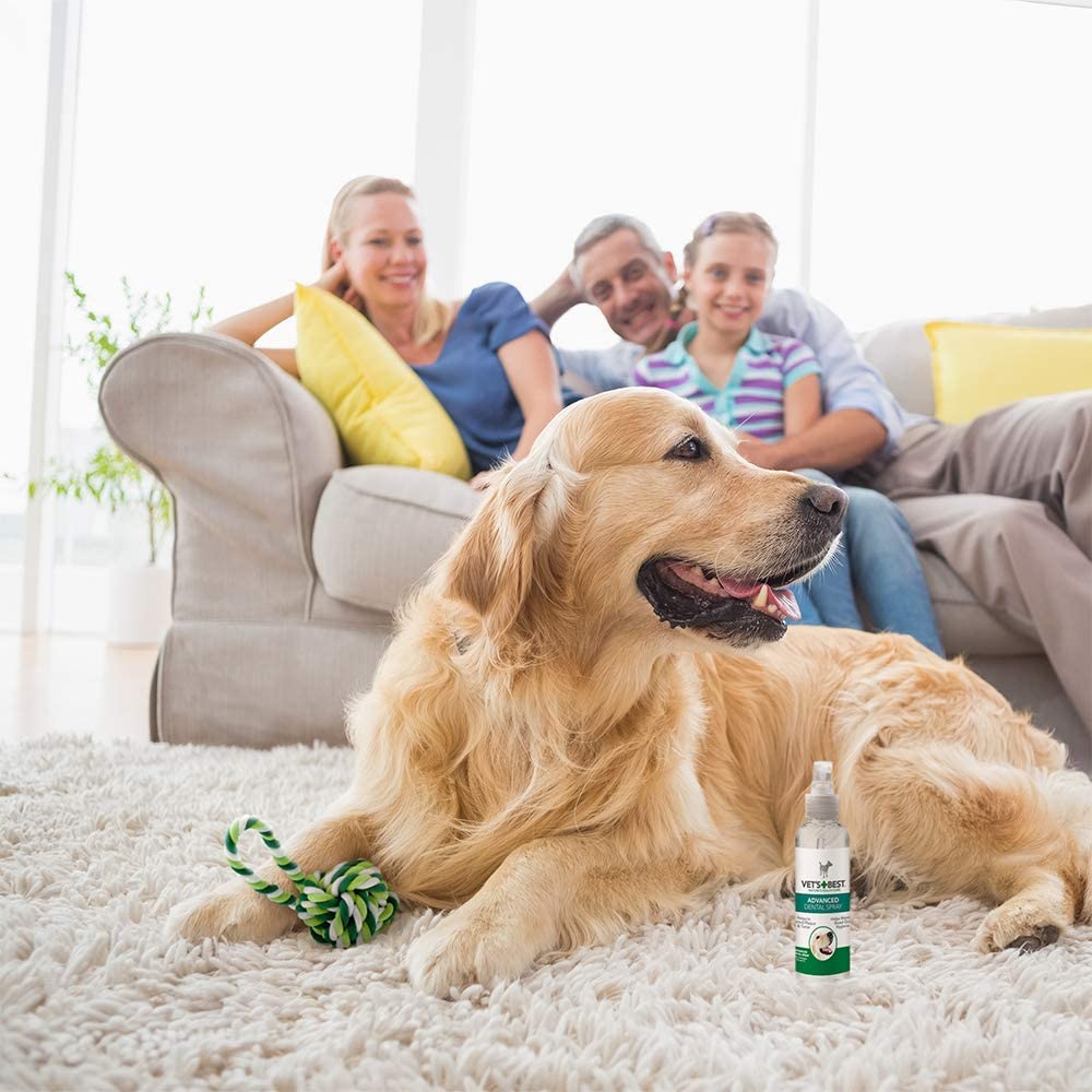 Vet´s Best  Dental Spray & Floss Ball - 3