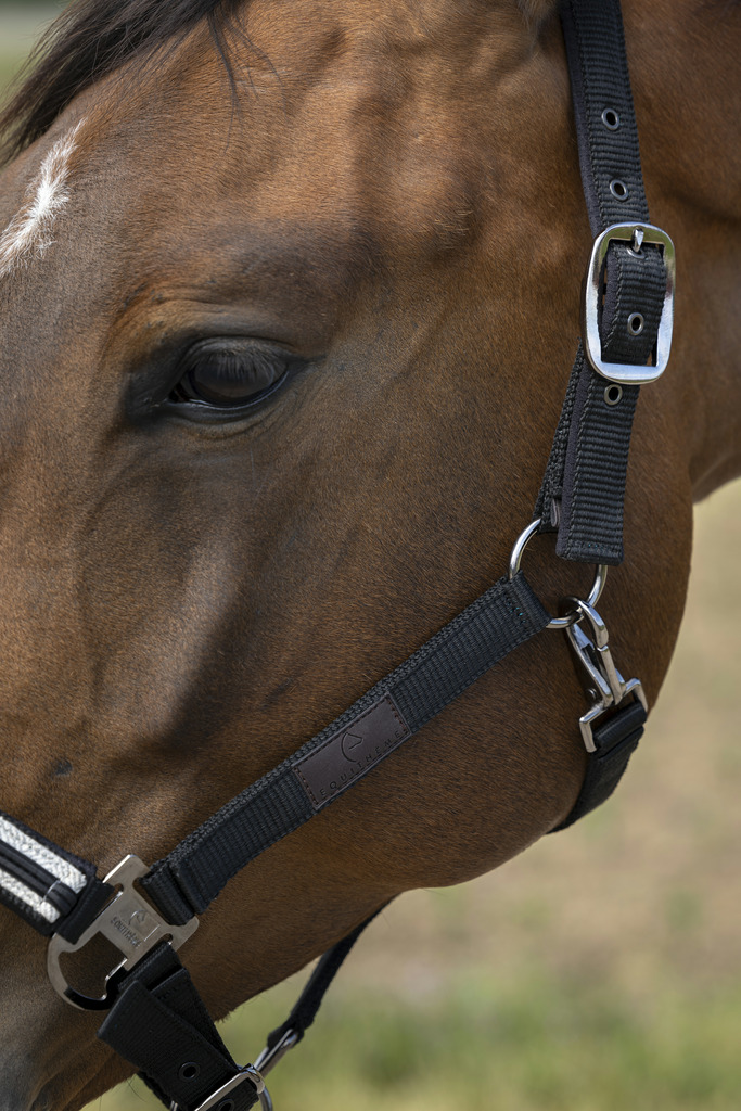 EQUITHEME 'Nylon Chevron' Grimma Svart - Full