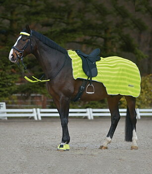 Waldhausen Reflective Riding Rug - One size