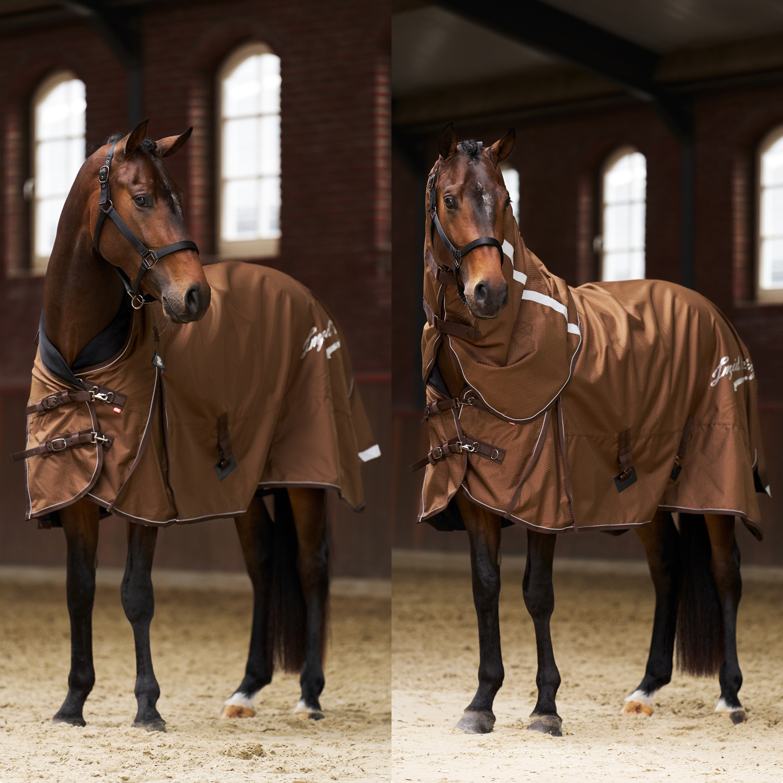 Imperial Riding Outdoor blanket Super-proof 200gr - Bronze - 7